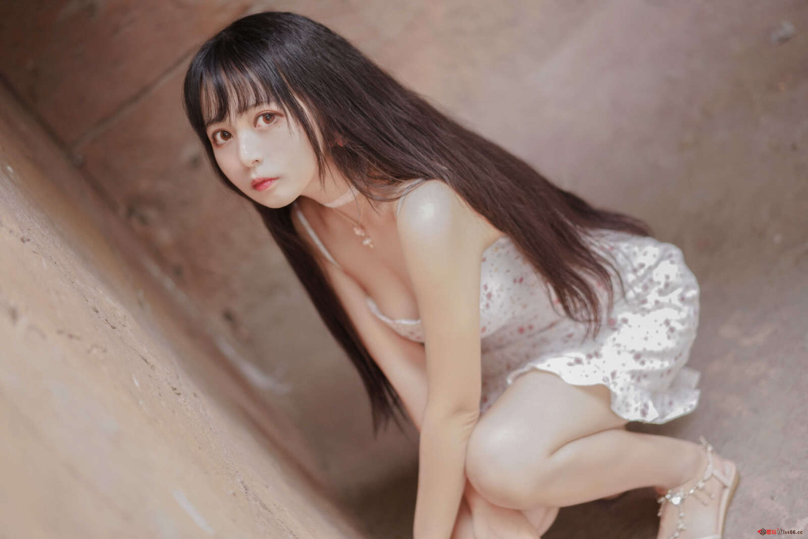 https://www.lss77.com/wp-content/uploads/2021/04/R-25-13-1600x1067.jpg