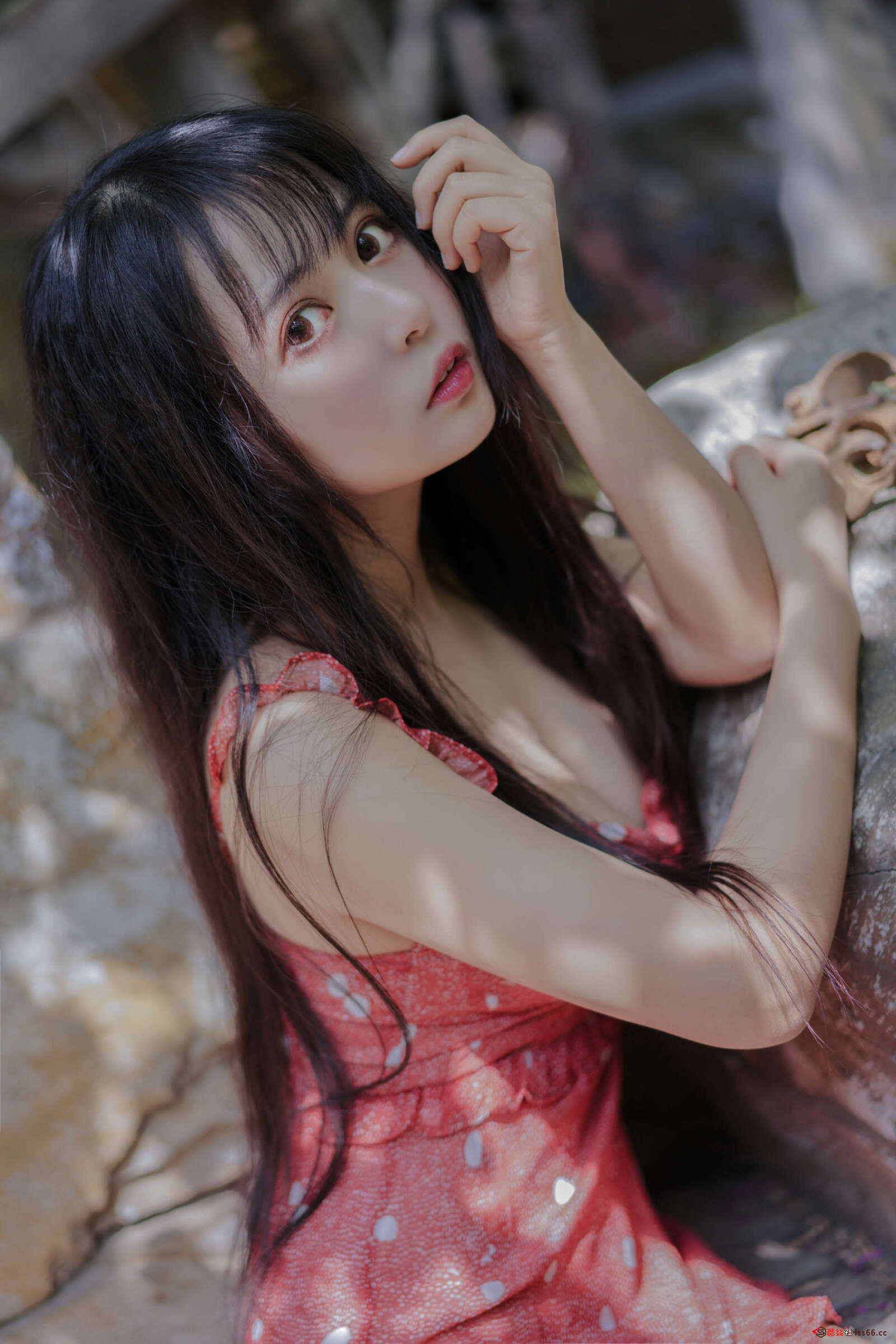 https://www.lss77.com/wp-content/uploads/2021/04/R-25-99-1600x2398.jpg