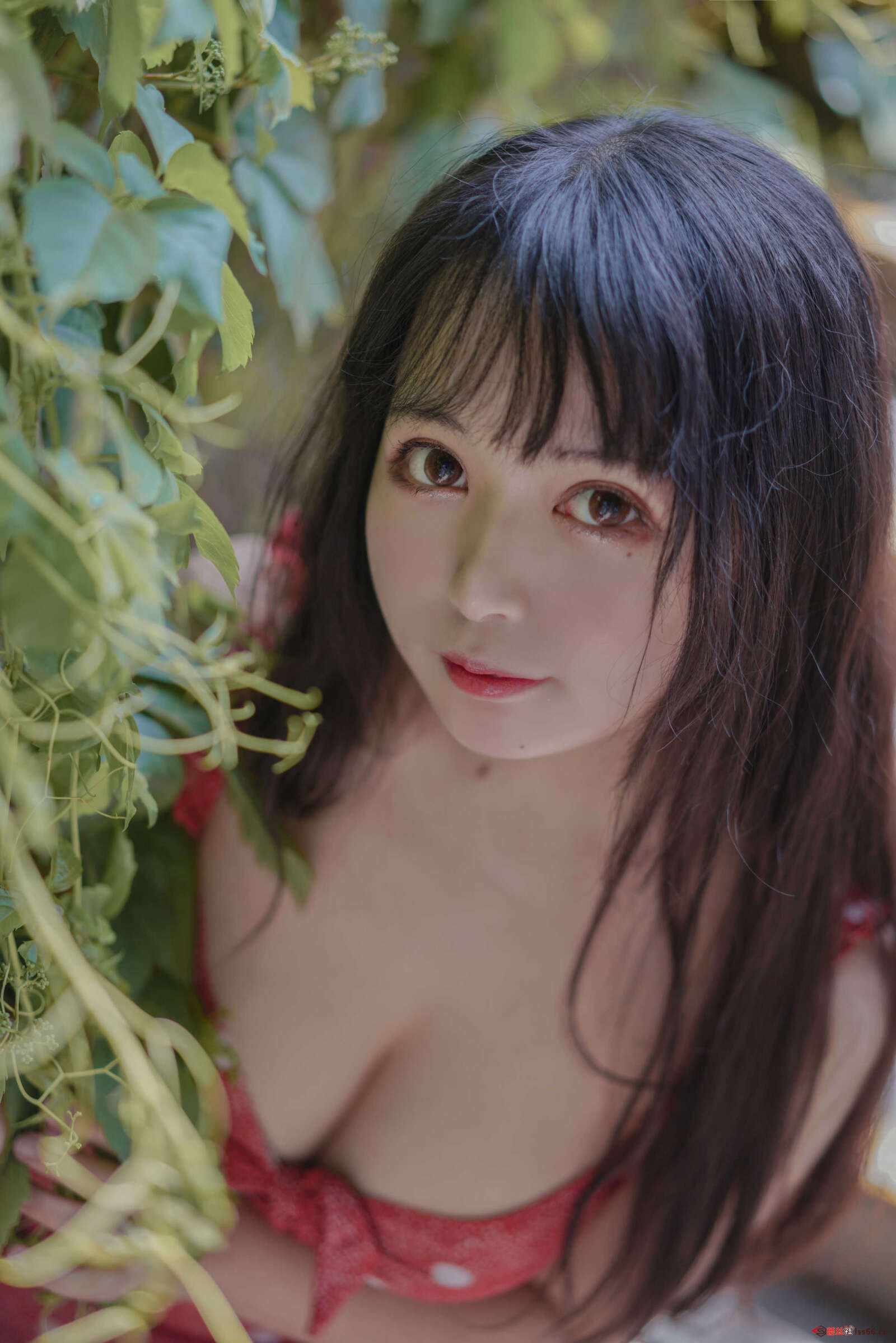 https://www.lss77.com/wp-content/uploads/2021/04/R-26-95-1600x2398.jpg