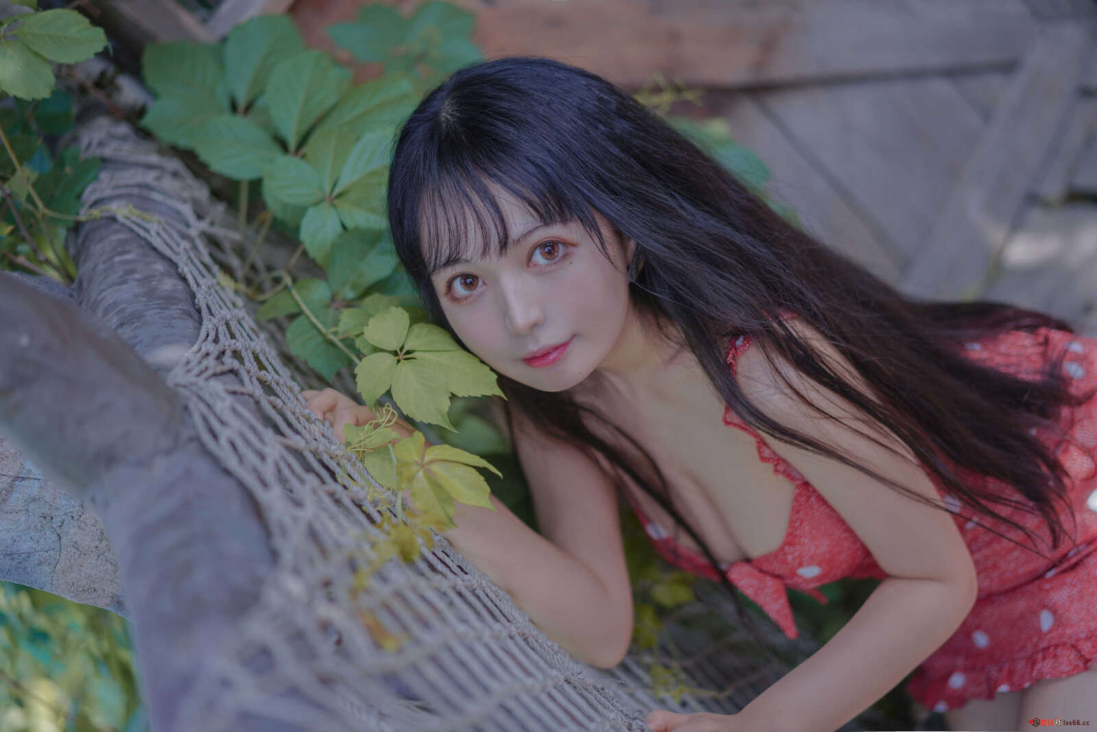https://www.lss77.com/wp-content/uploads/2021/04/R-27-88-1600x1067.jpg