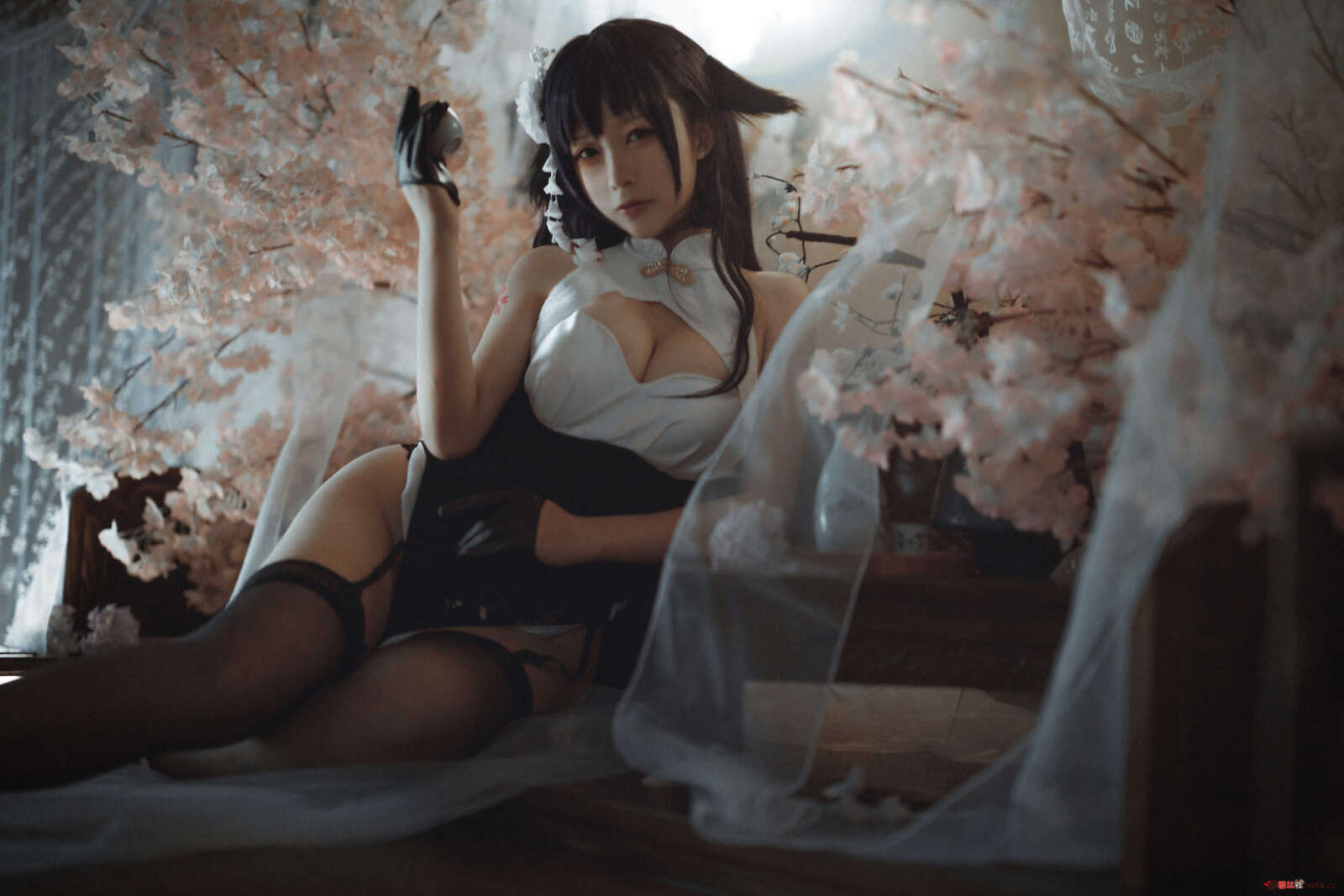 https://www.lss77.com/wp-content/uploads/2021/04/R-3-342-1600x1067.jpg