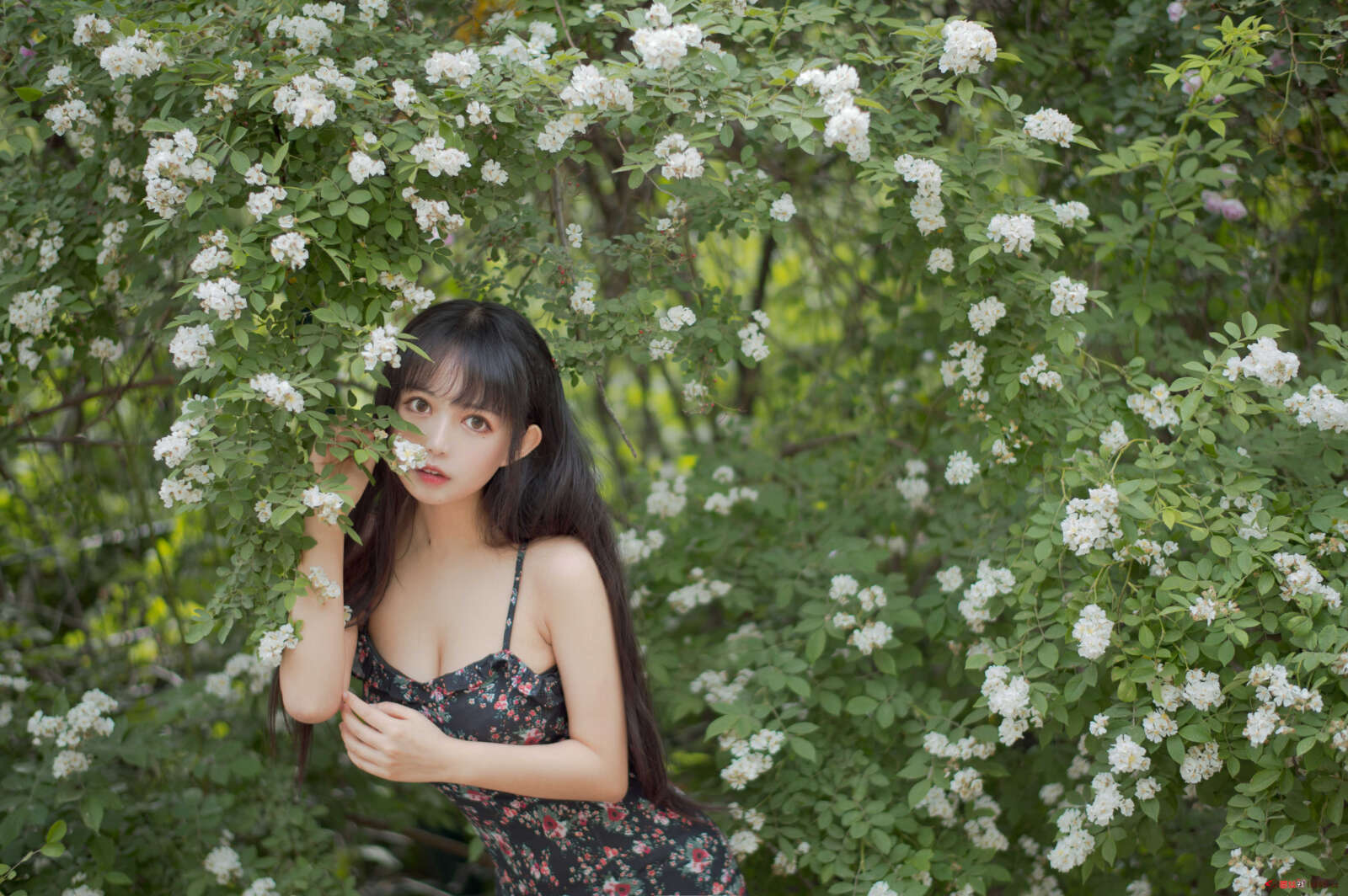 https://www.lss77.com/wp-content/uploads/2021/04/R-4-170-1600x1064.jpg