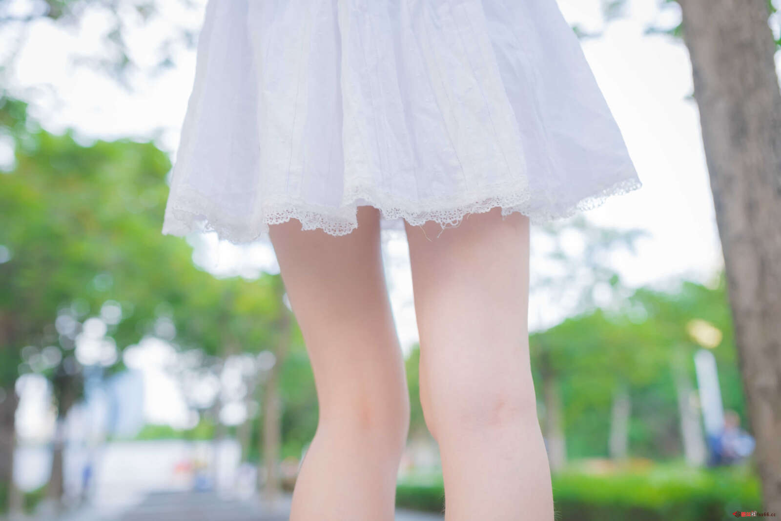 https://www.lss77.com/wp-content/uploads/2021/04/R-49-11-1600x1068.jpg