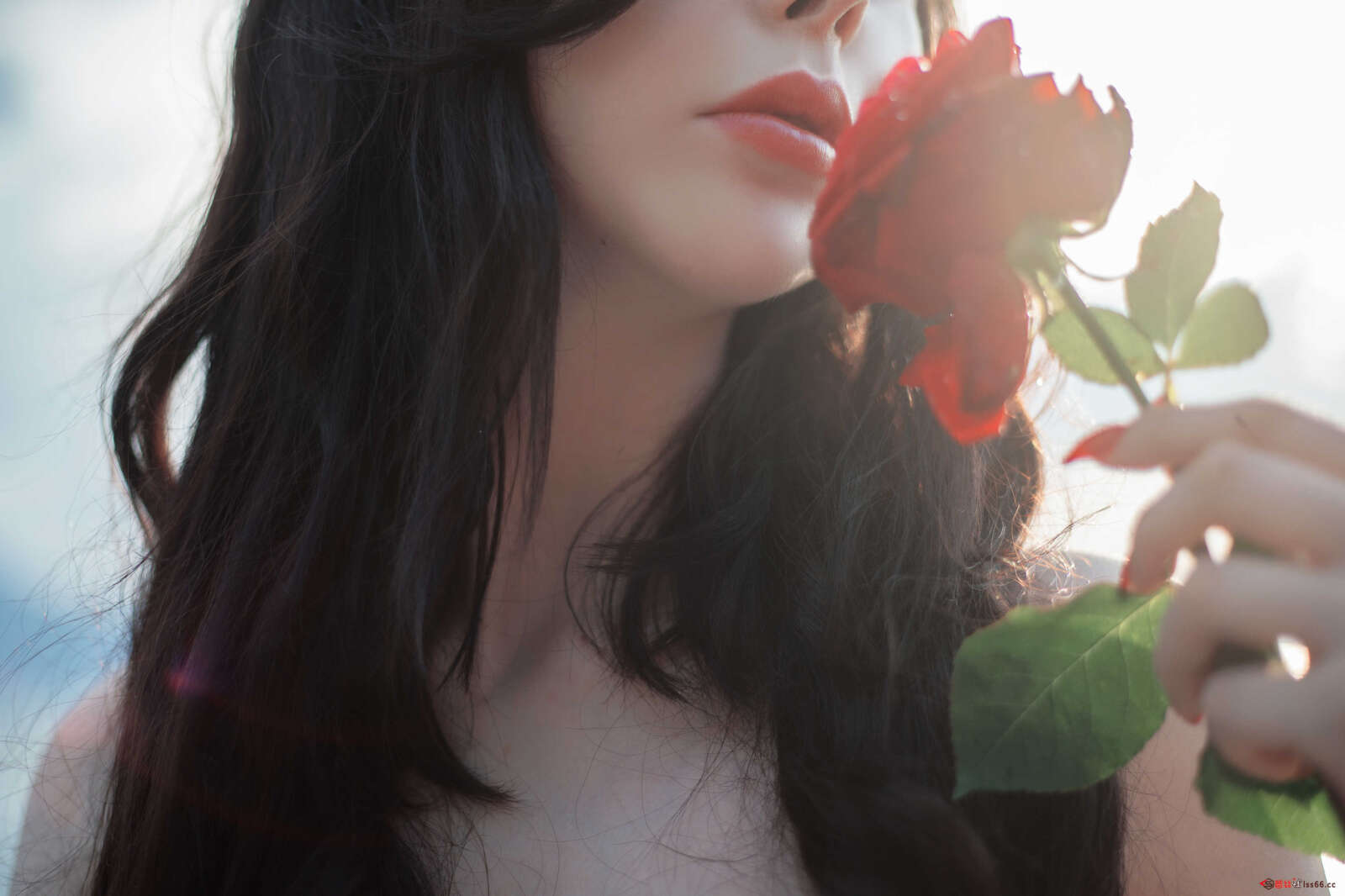 https://www.lss77.com/wp-content/uploads/2021/04/R-5-27-1600x1066.jpg