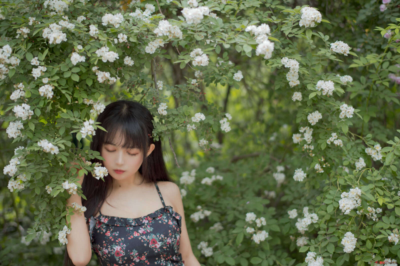 https://www.lss77.com/wp-content/uploads/2021/04/R-6-168-1600x1064.jpg