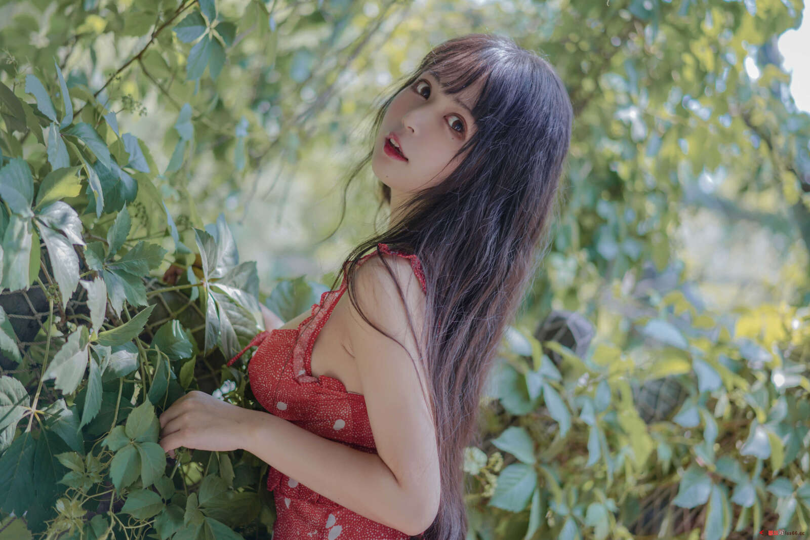 https://www.lss77.com/wp-content/uploads/2021/04/R-6-290-1600x1067.jpg