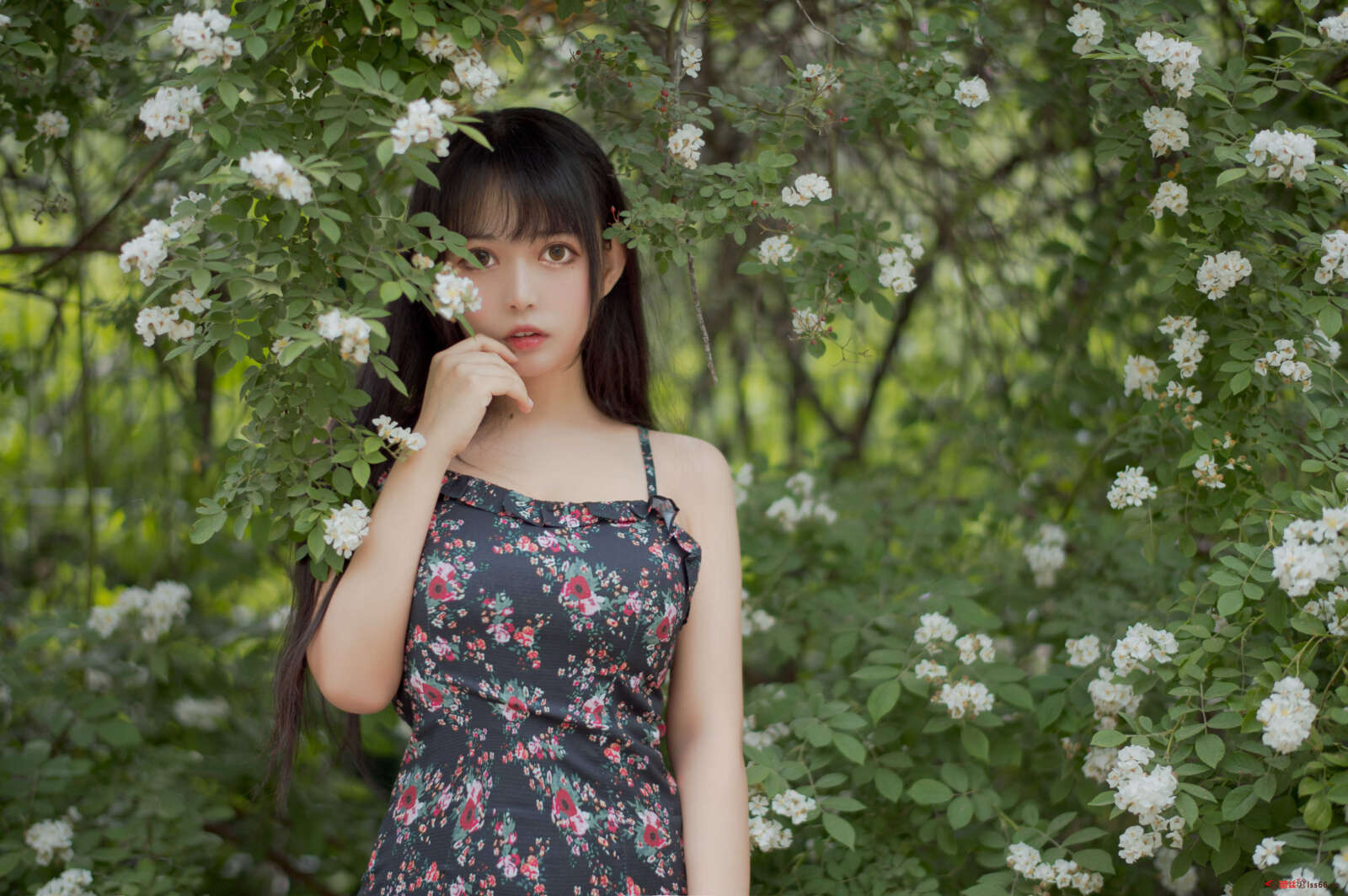 https://www.lss77.com/wp-content/uploads/2021/04/R-7-165-1600x1064.jpg