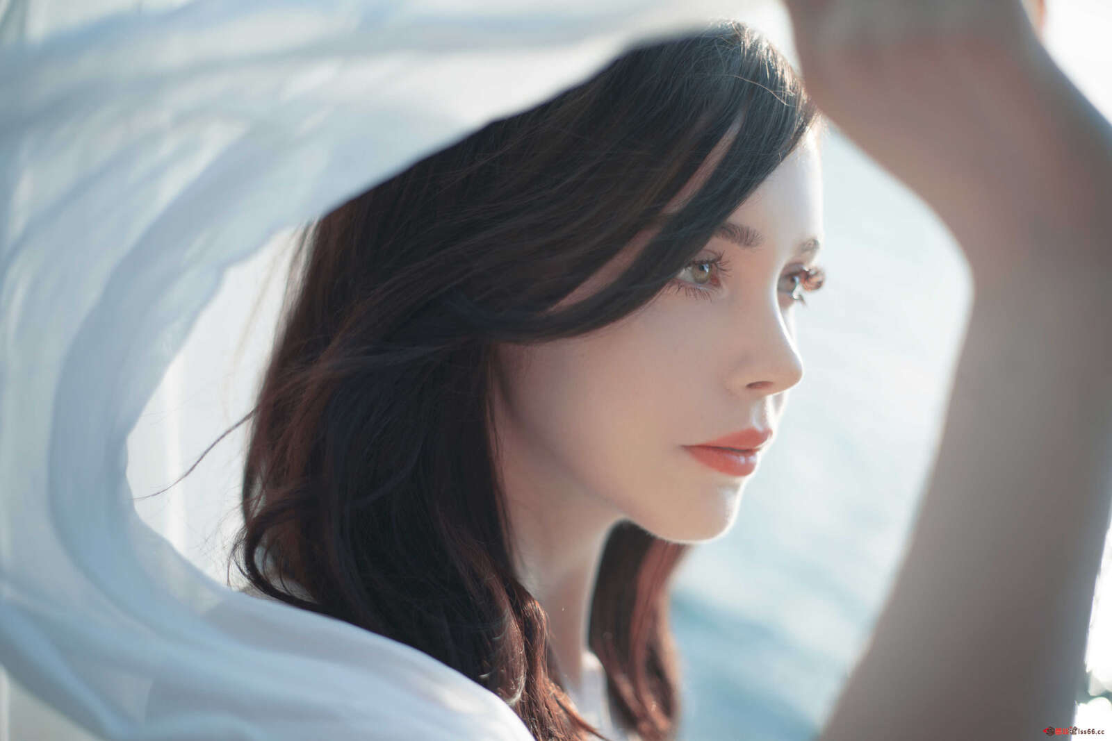 https://www.lss77.com/wp-content/uploads/2021/04/R-7-26-1600x1067.jpg
