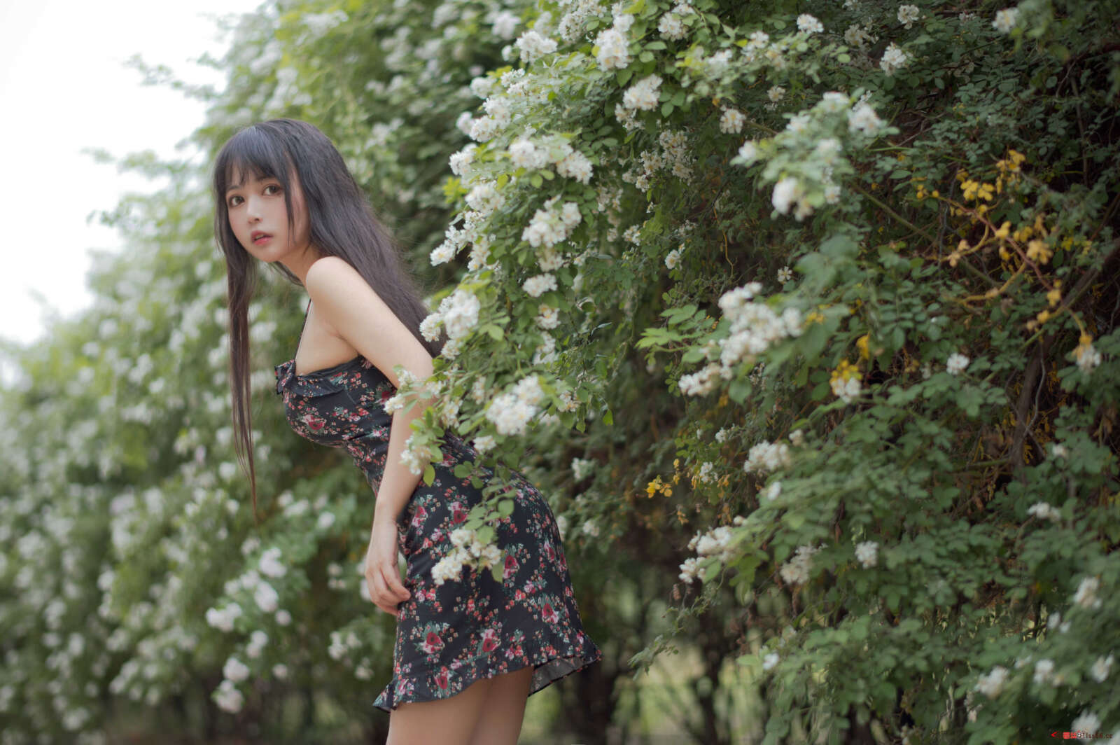 https://www.lss77.com/wp-content/uploads/2021/04/R-8-163-1600x1064.jpg