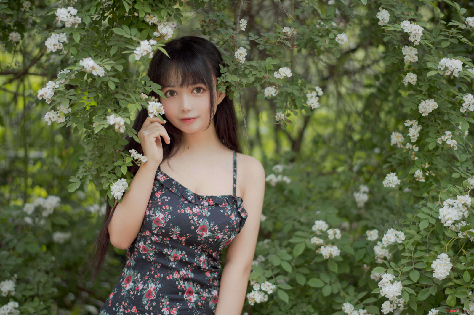 https://www.lss77.com/wp-content/uploads/2021/04/R-9-147-1600x1064.jpg