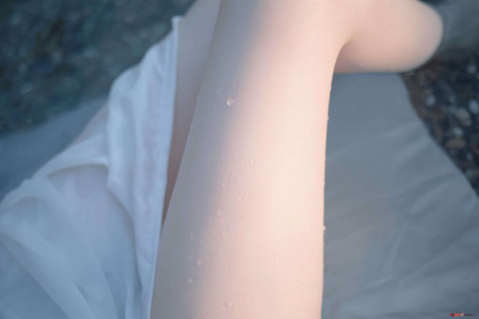 https://www.lss77.com/wp-content/uploads/2021/04/R-9-25-1600x1067.jpg