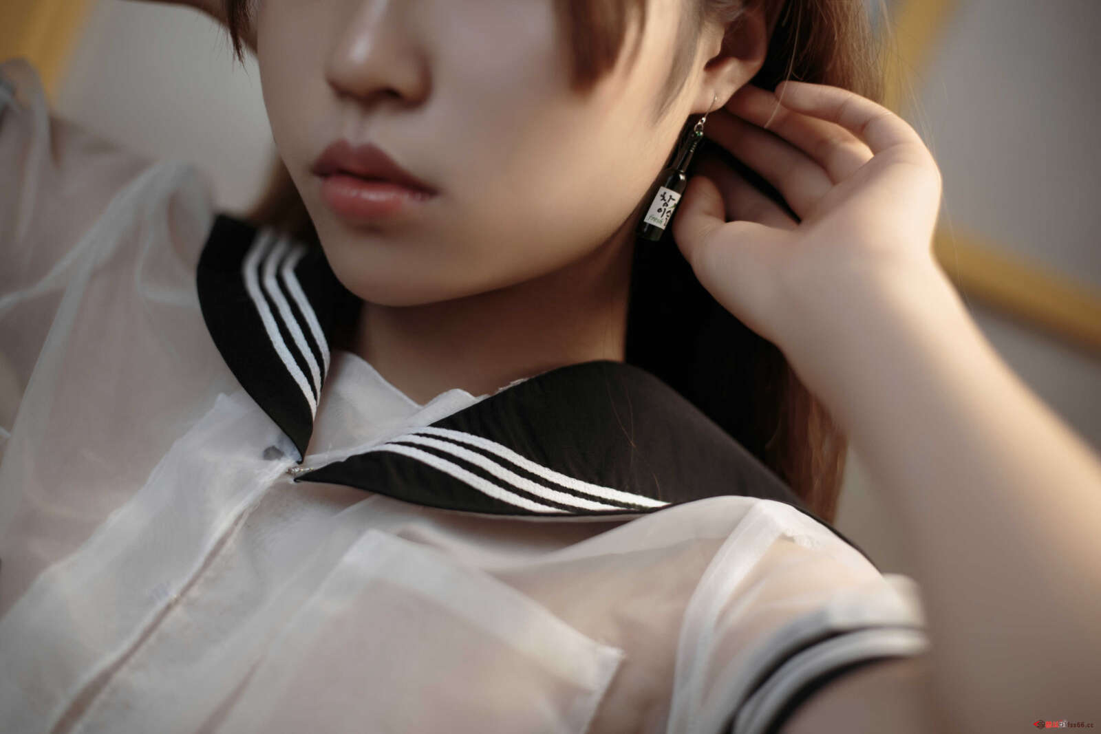 https://www.lss77.com/wp-content/uploads/2021/04/R-9-317-1600x1067.jpg