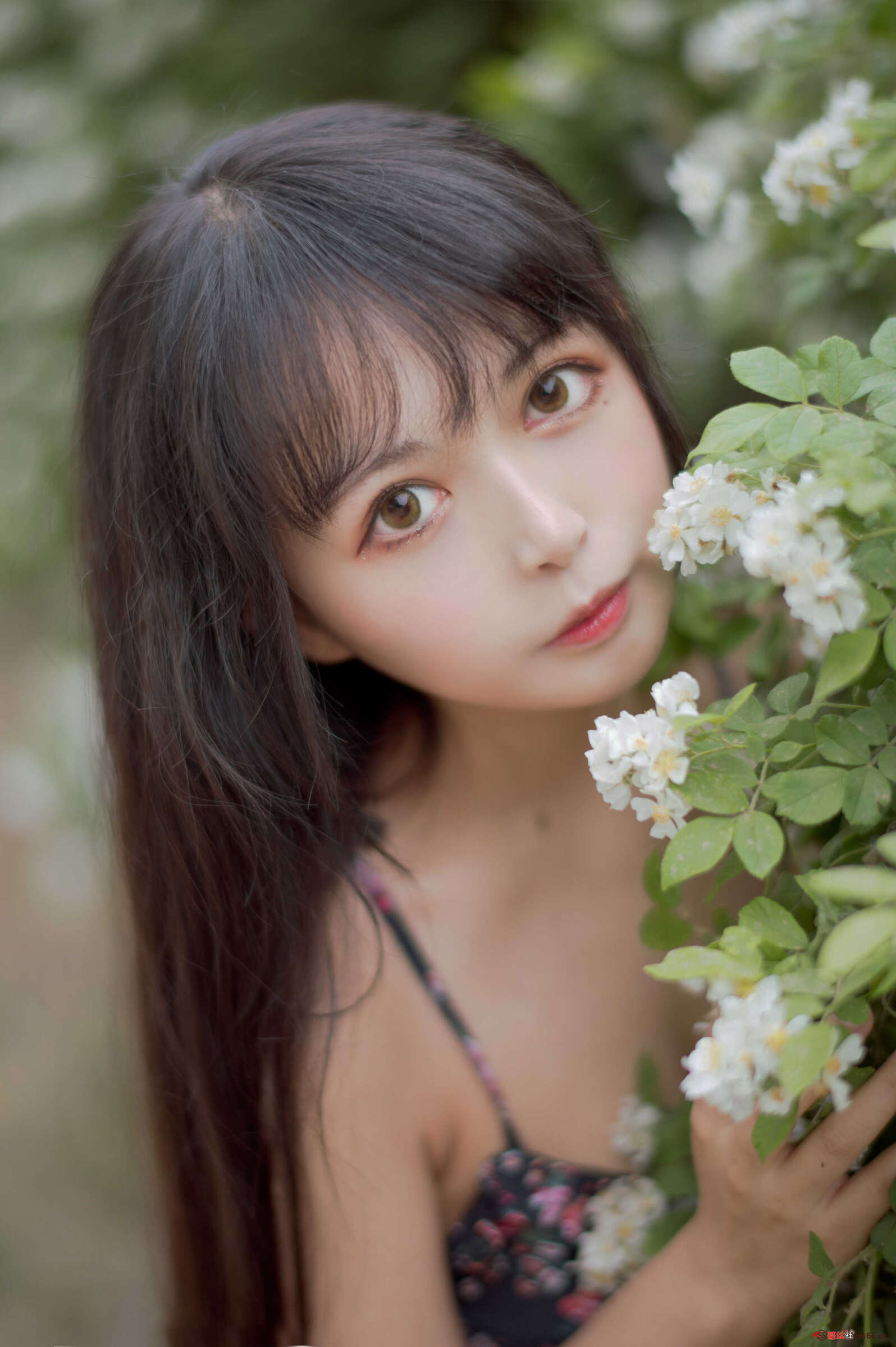 https://www.lss77.com/wp-content/uploads/2021/04/cover-219-1596x2400.jpg