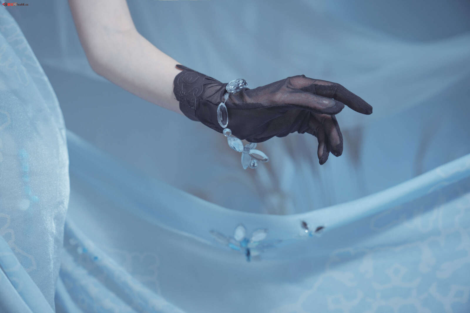 https://www.lss77.com/wp-content/uploads/2021/05/20190317-7-1600x1067.jpg