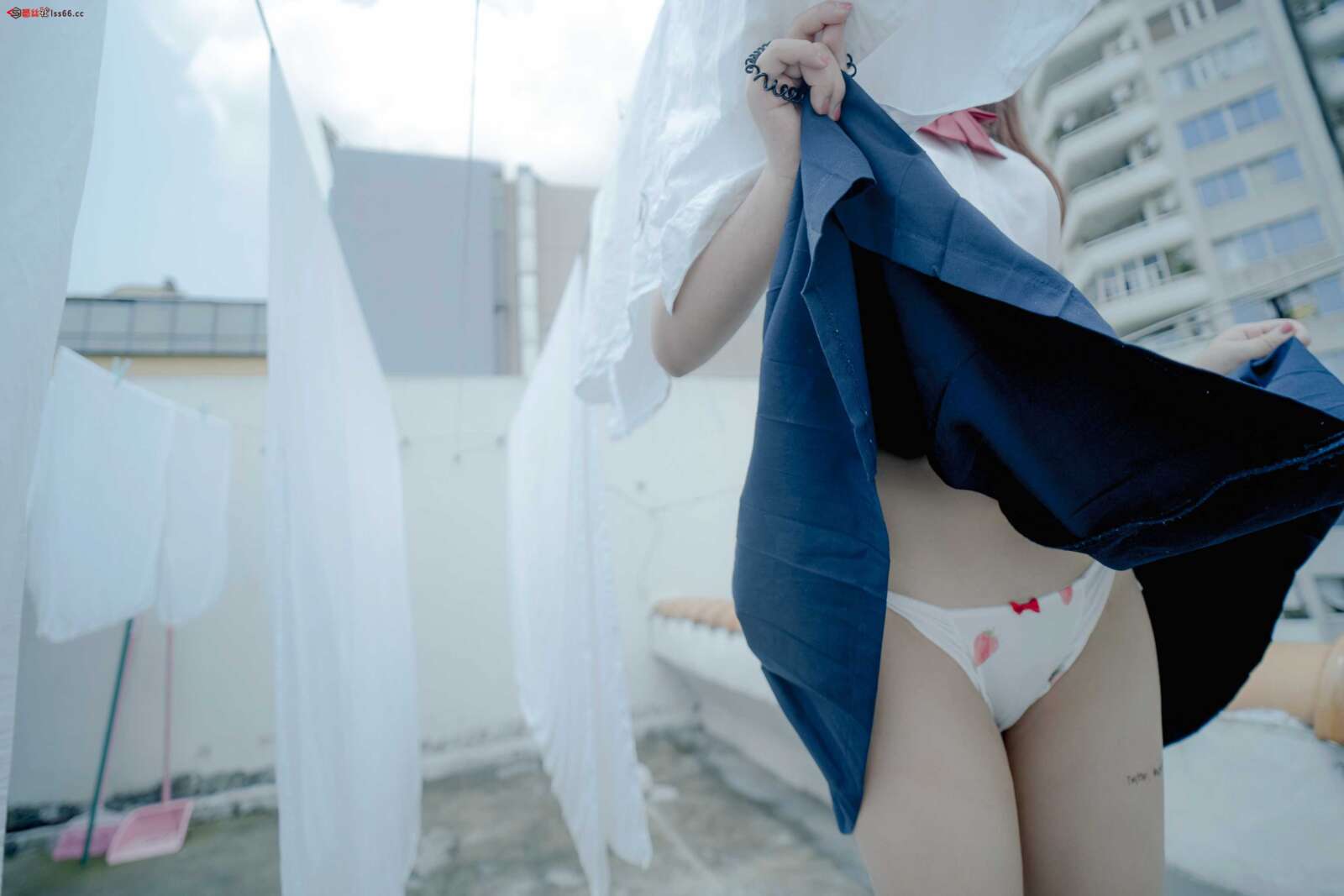 https://www.lss77.com/wp-content/uploads/2021/05/R-17-137-1600x1067.jpg