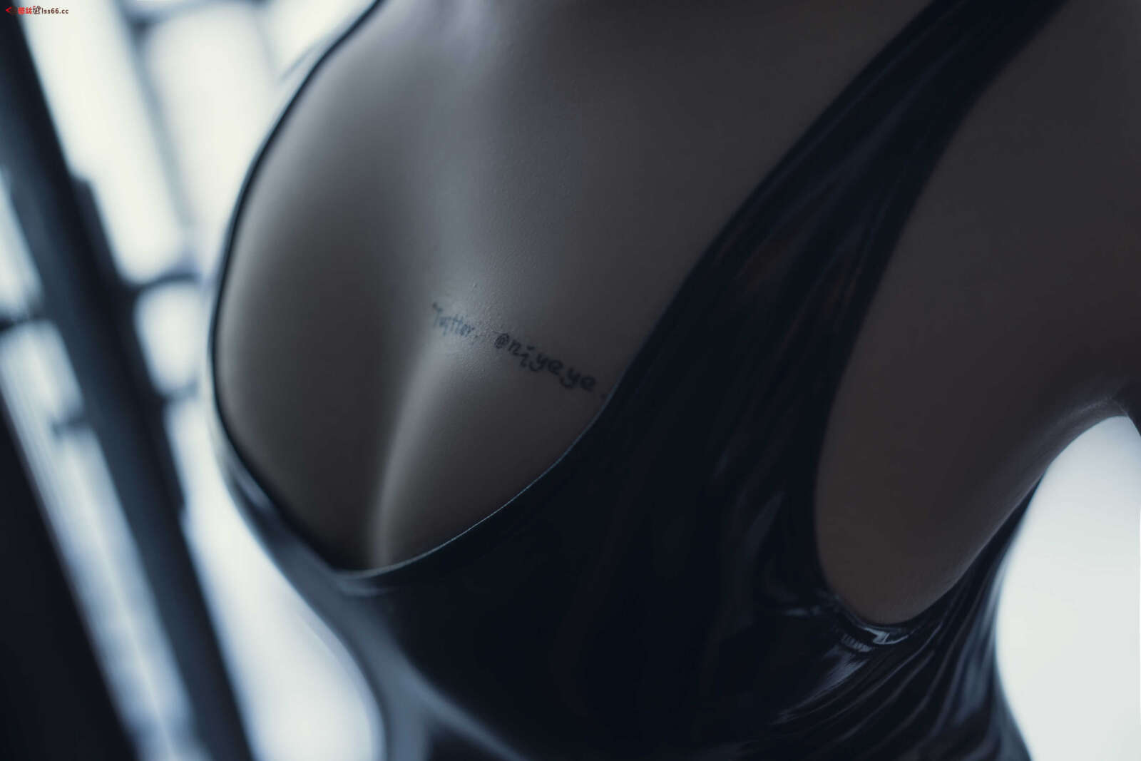 https://www.lss77.com/wp-content/uploads/2021/05/R-20-92-1600x1067.jpg