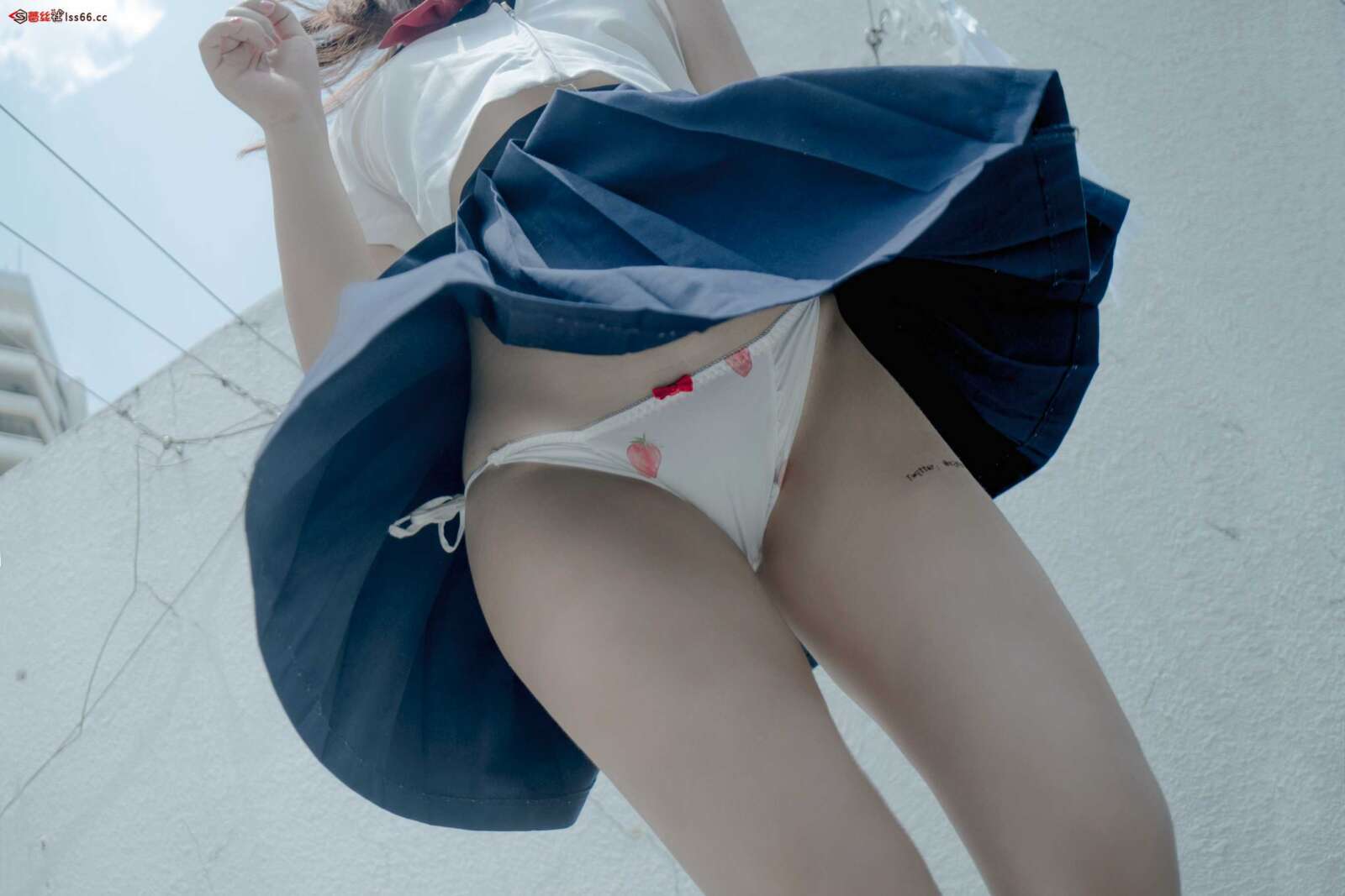 https://www.lss77.com/wp-content/uploads/2021/05/R-29-94-1600x1067.jpg