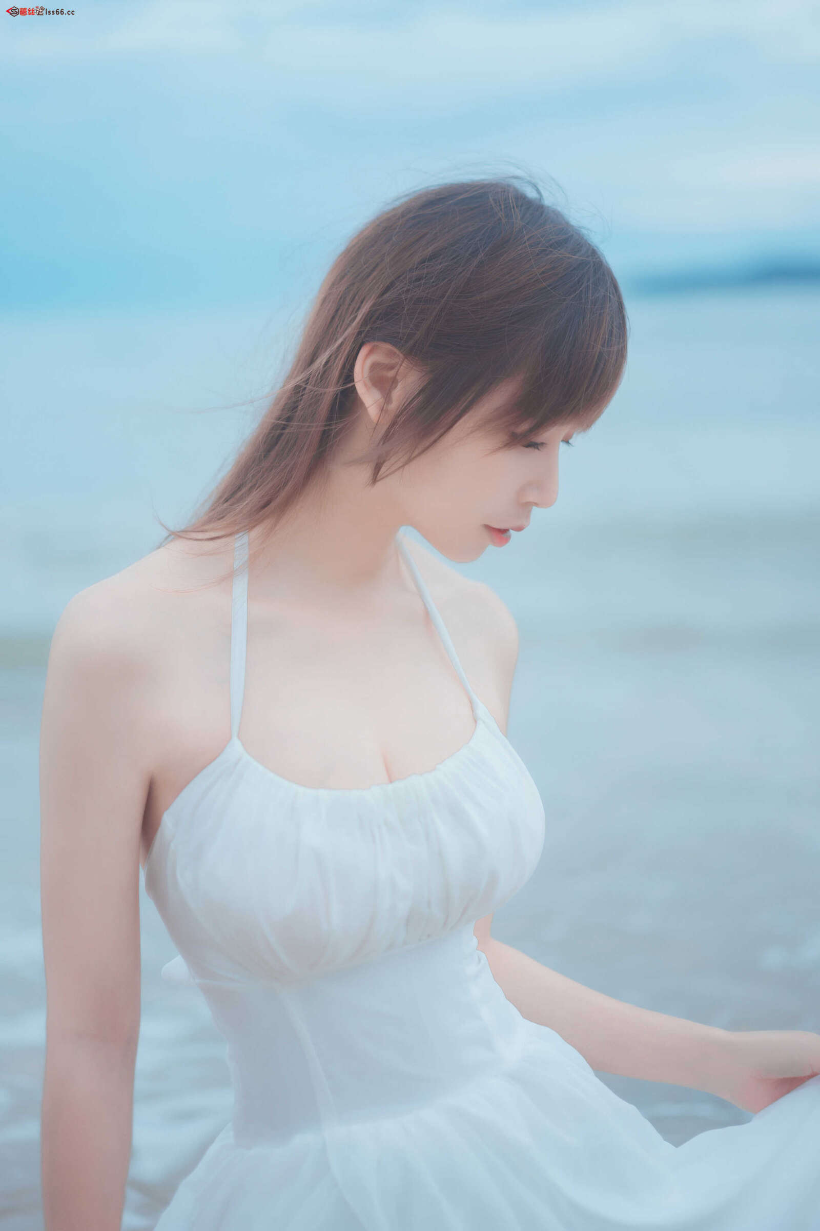 https://www.lss77.com/wp-content/uploads/2021/05/cover-245-1600x2400.jpg