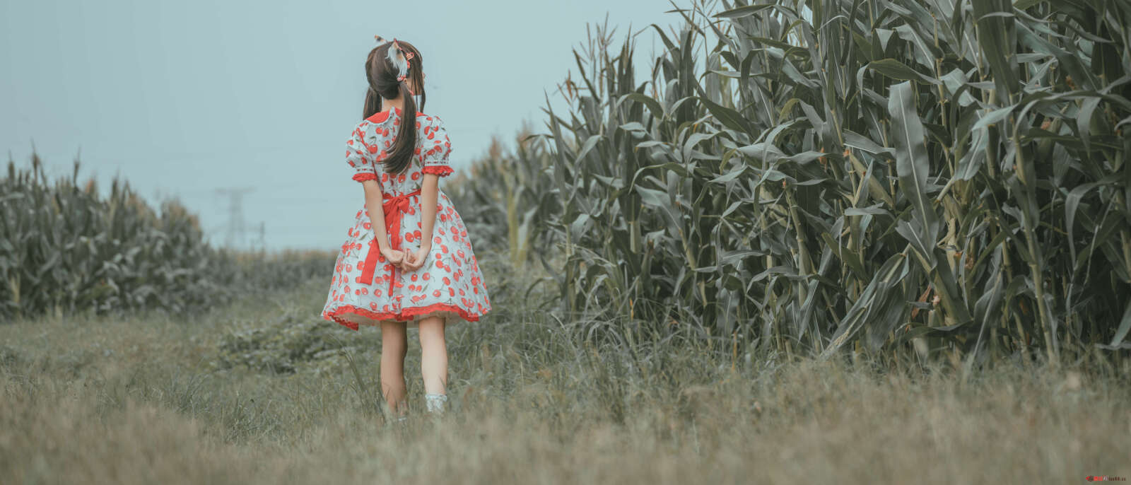 https://www.lss77.com/wp-content/uploads/2021/06/50-1-1600x686.jpg