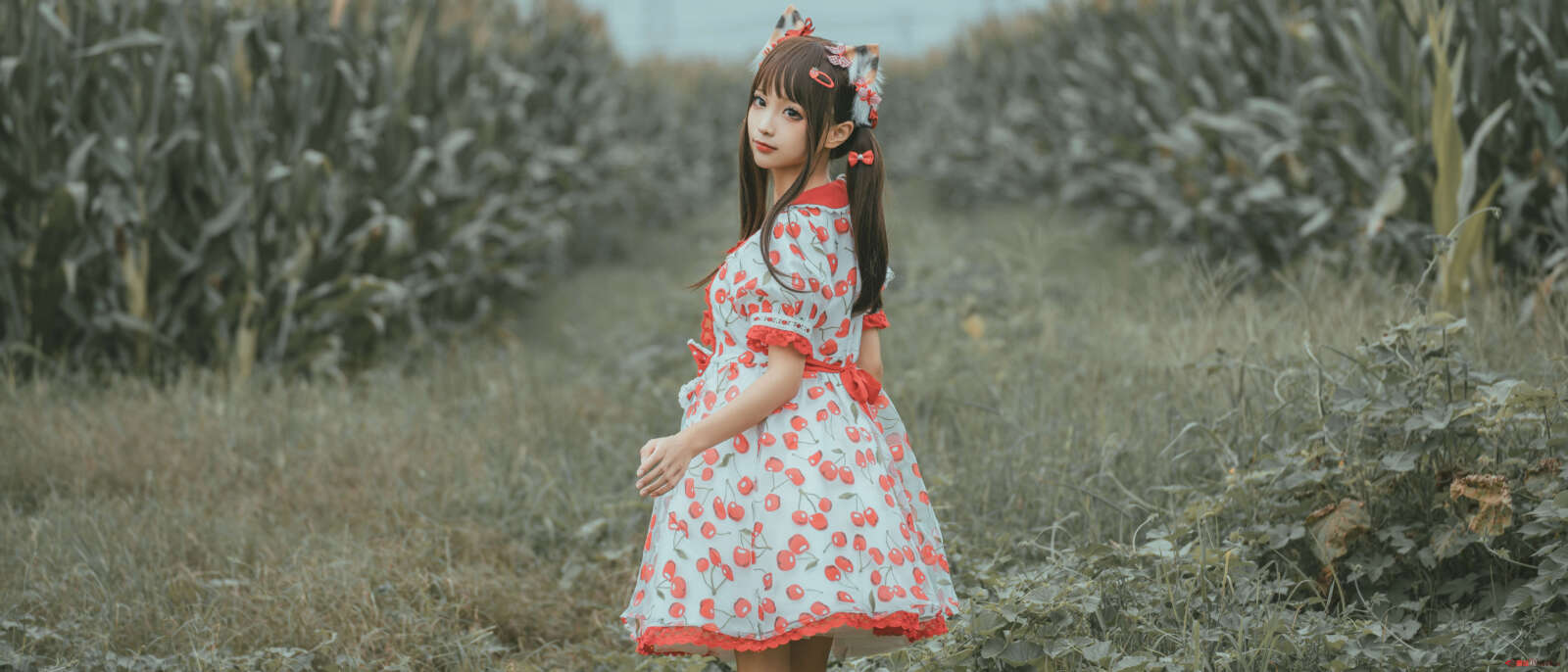 https://www.lss77.com/wp-content/uploads/2021/06/54-1-1600x686.jpg