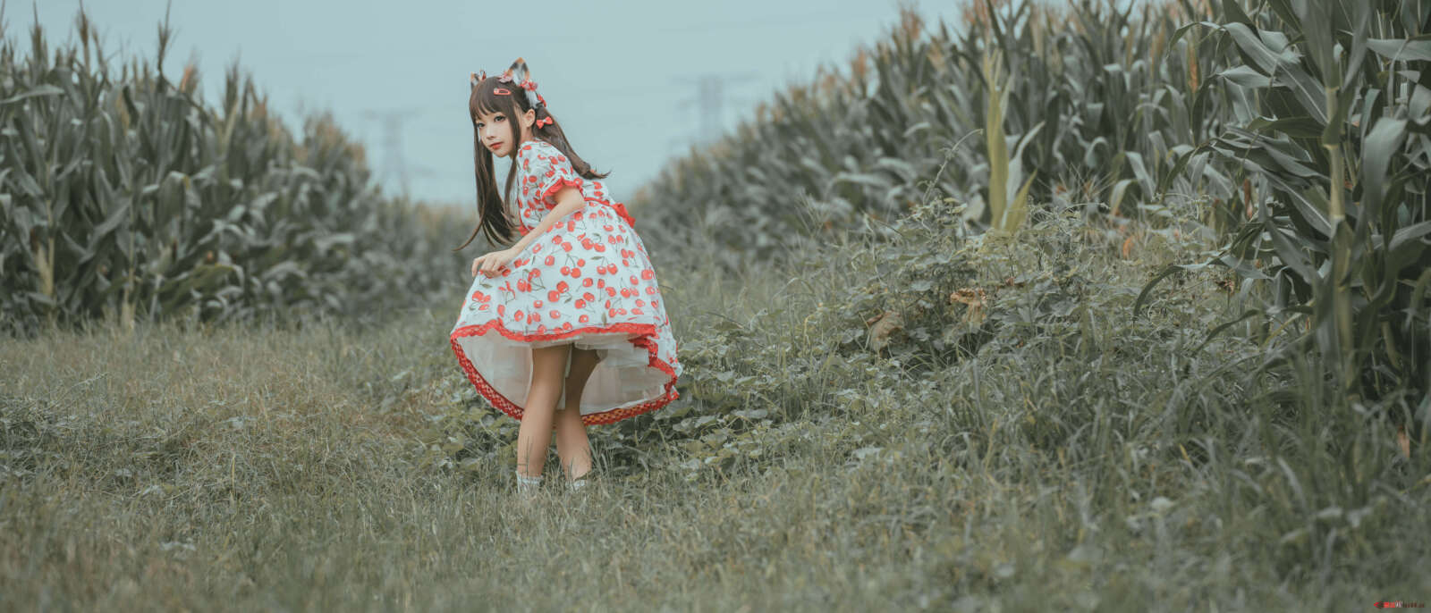 https://www.lss77.com/wp-content/uploads/2021/06/55-1-1600x686.jpg