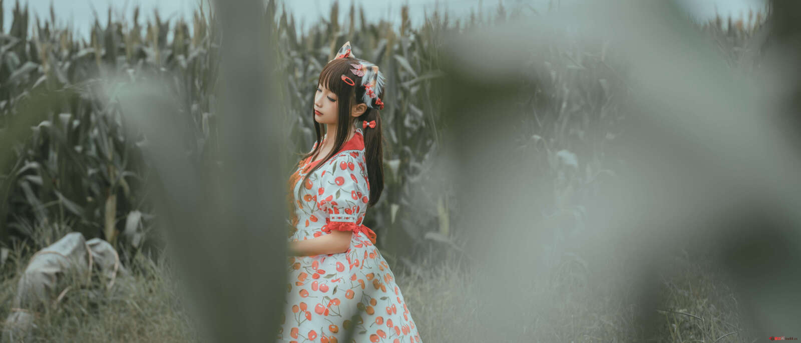 https://www.lss77.com/wp-content/uploads/2021/06/58-1-1600x686.jpg