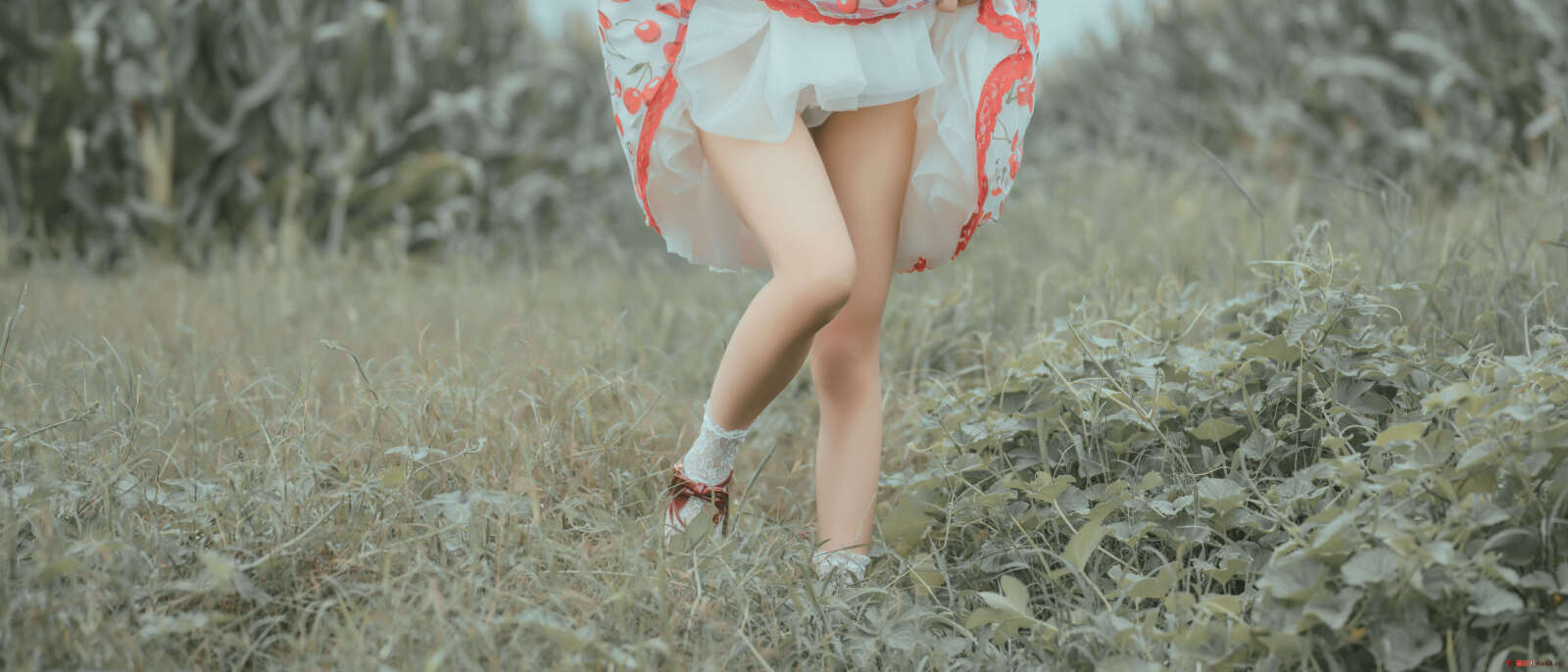 https://www.lss77.com/wp-content/uploads/2021/06/59-1-1600x686.jpg
