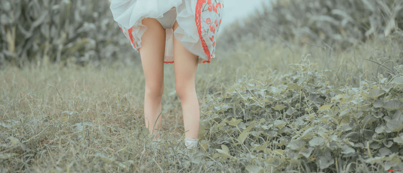 https://www.lss77.com/wp-content/uploads/2021/06/61-1600x686.jpg