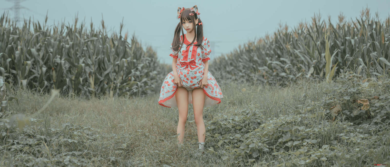 https://www.lss77.com/wp-content/uploads/2021/06/66-1600x686.jpg
