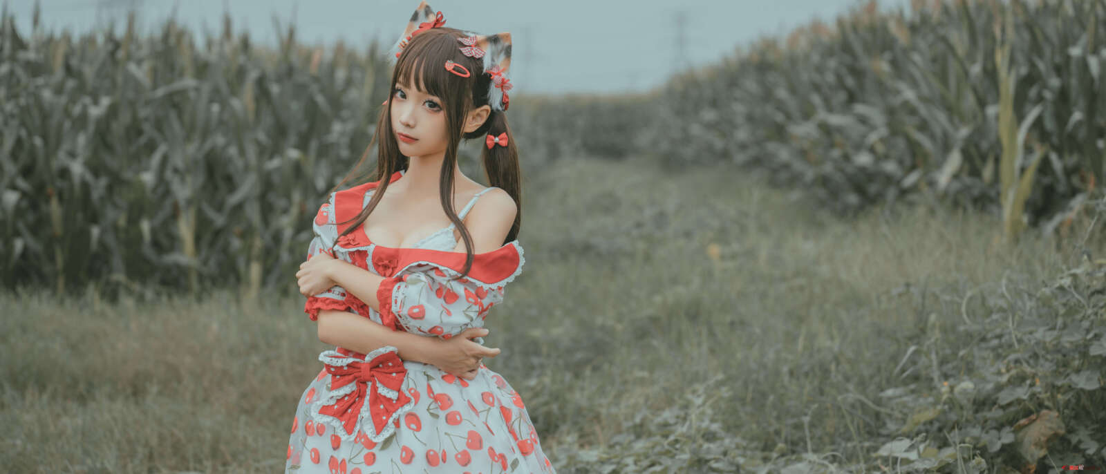 https://www.lss77.com/wp-content/uploads/2021/06/69-1600x686.jpg