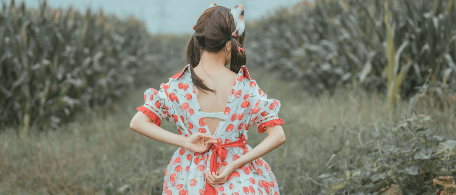 https://www.lss77.com/wp-content/uploads/2021/06/73-1600x686.jpg