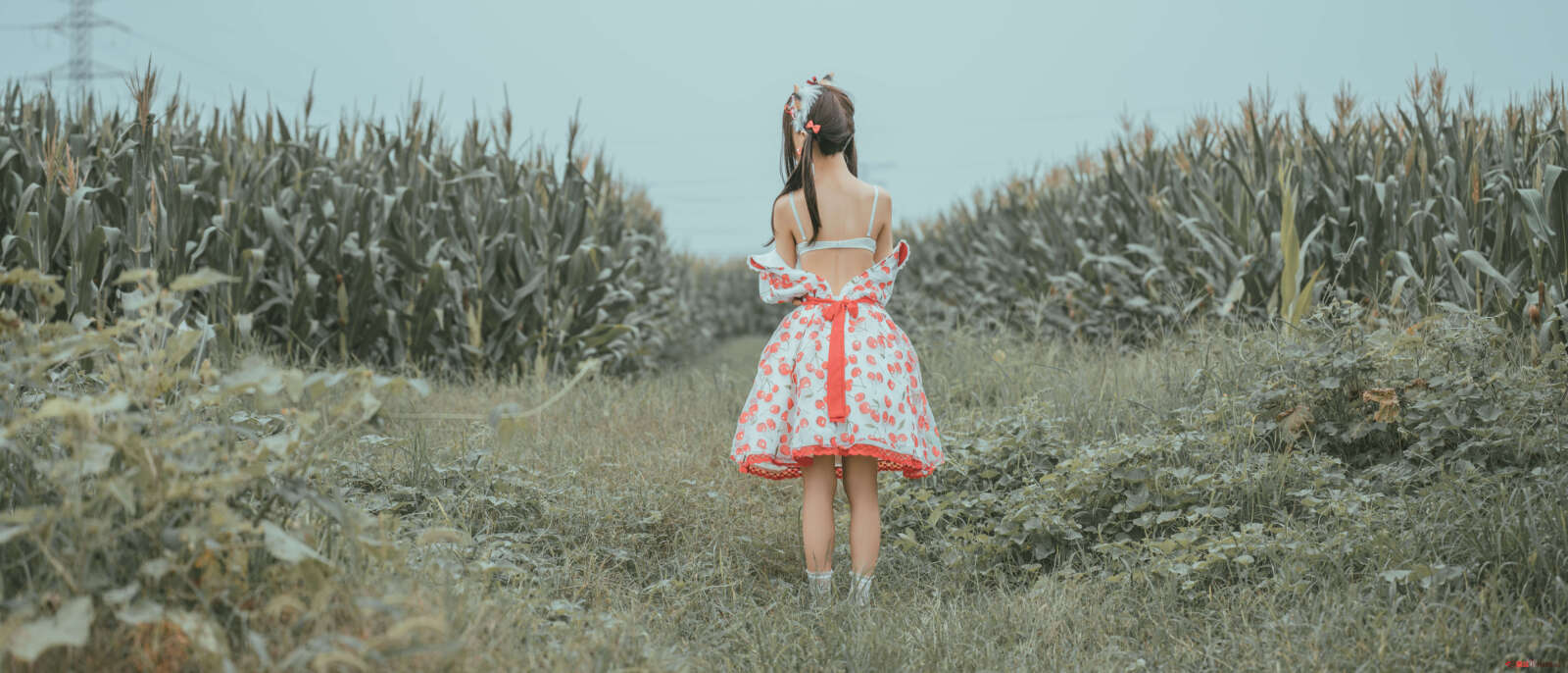https://www.lss77.com/wp-content/uploads/2021/06/75-1600x686.jpg