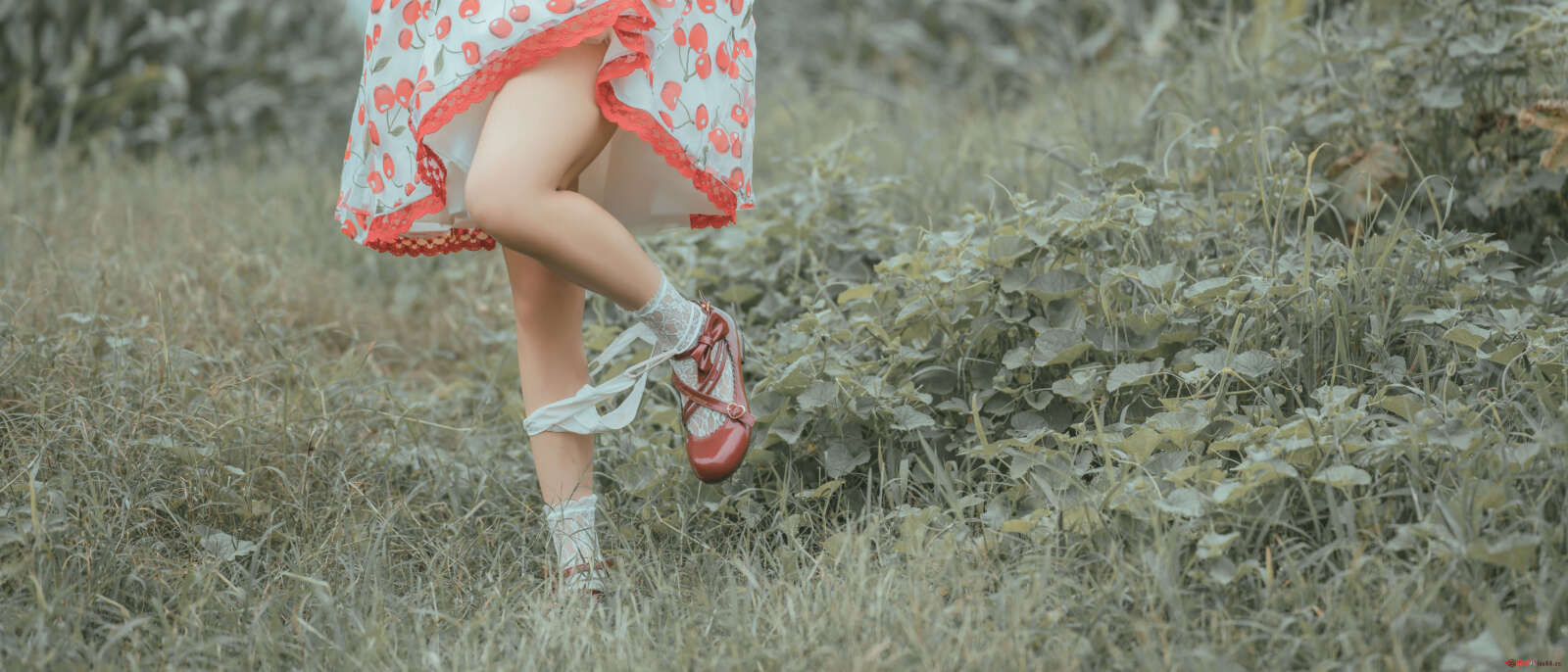 https://www.lss77.com/wp-content/uploads/2021/06/80-1600x686.jpg