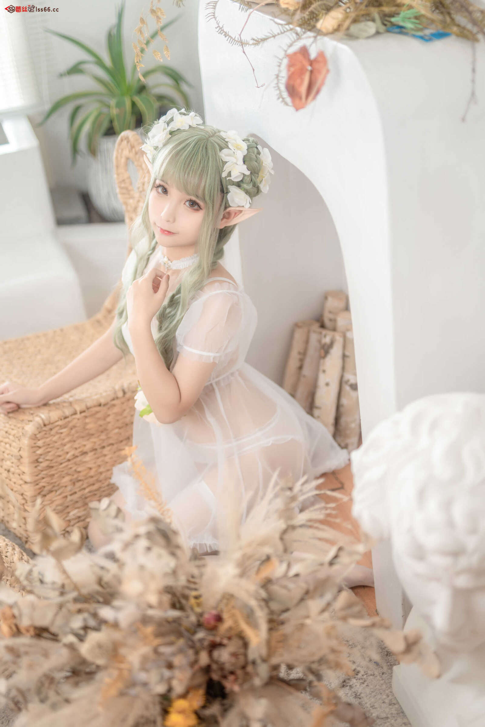 https://www.lss77.com/wp-content/uploads/2021/06/z-14-1-1600x2398.jpg