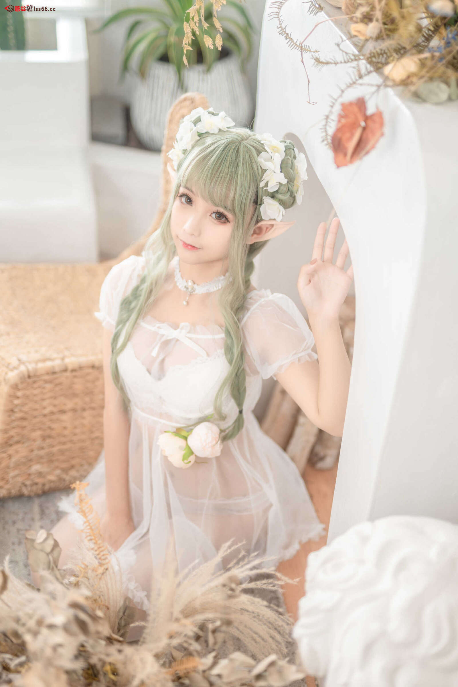 https://www.lss77.com/wp-content/uploads/2021/06/z-15-1-1600x2398.jpg