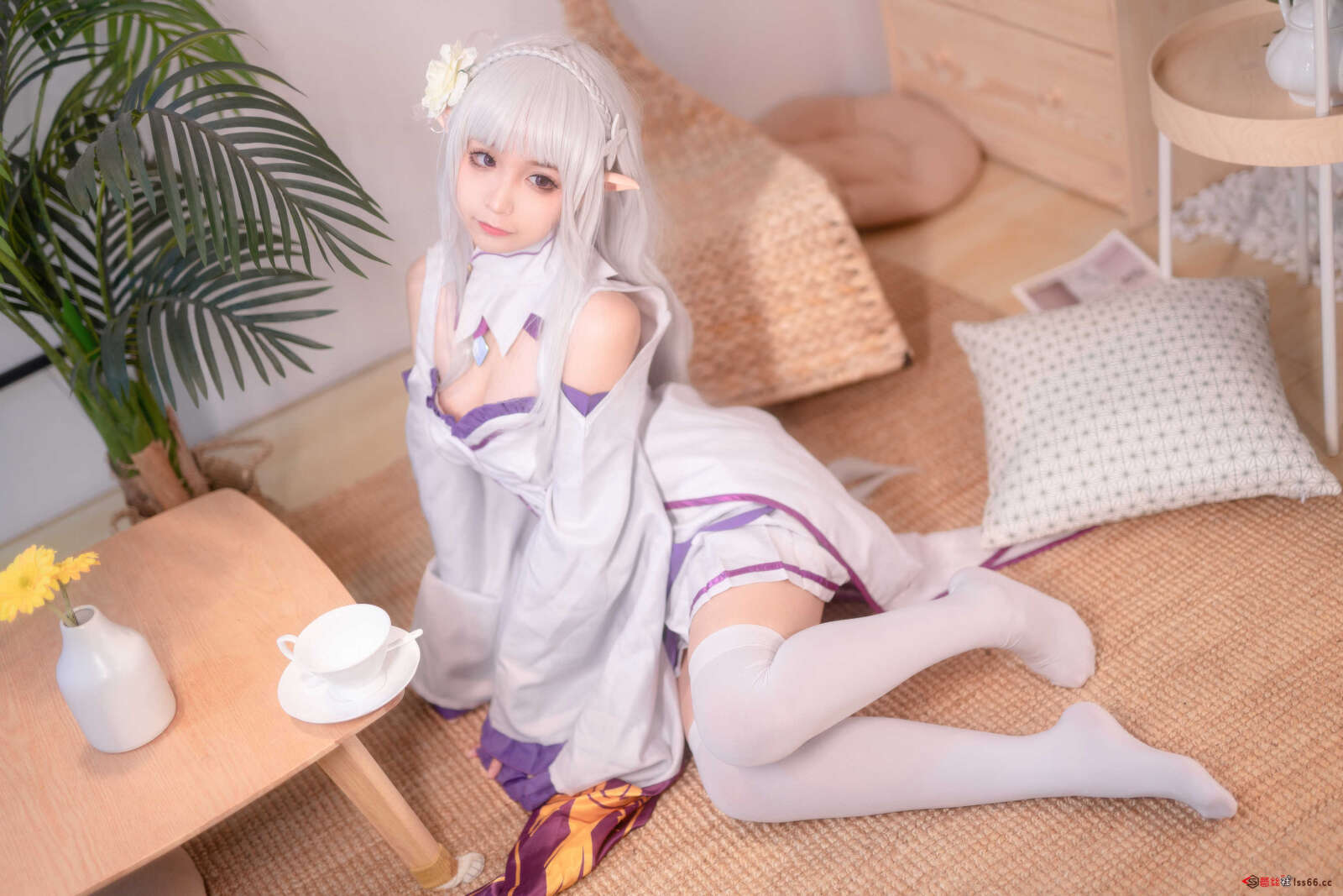 https://www.lss77.com/wp-content/uploads/2021/06/z-15-13-1600x1067.jpg