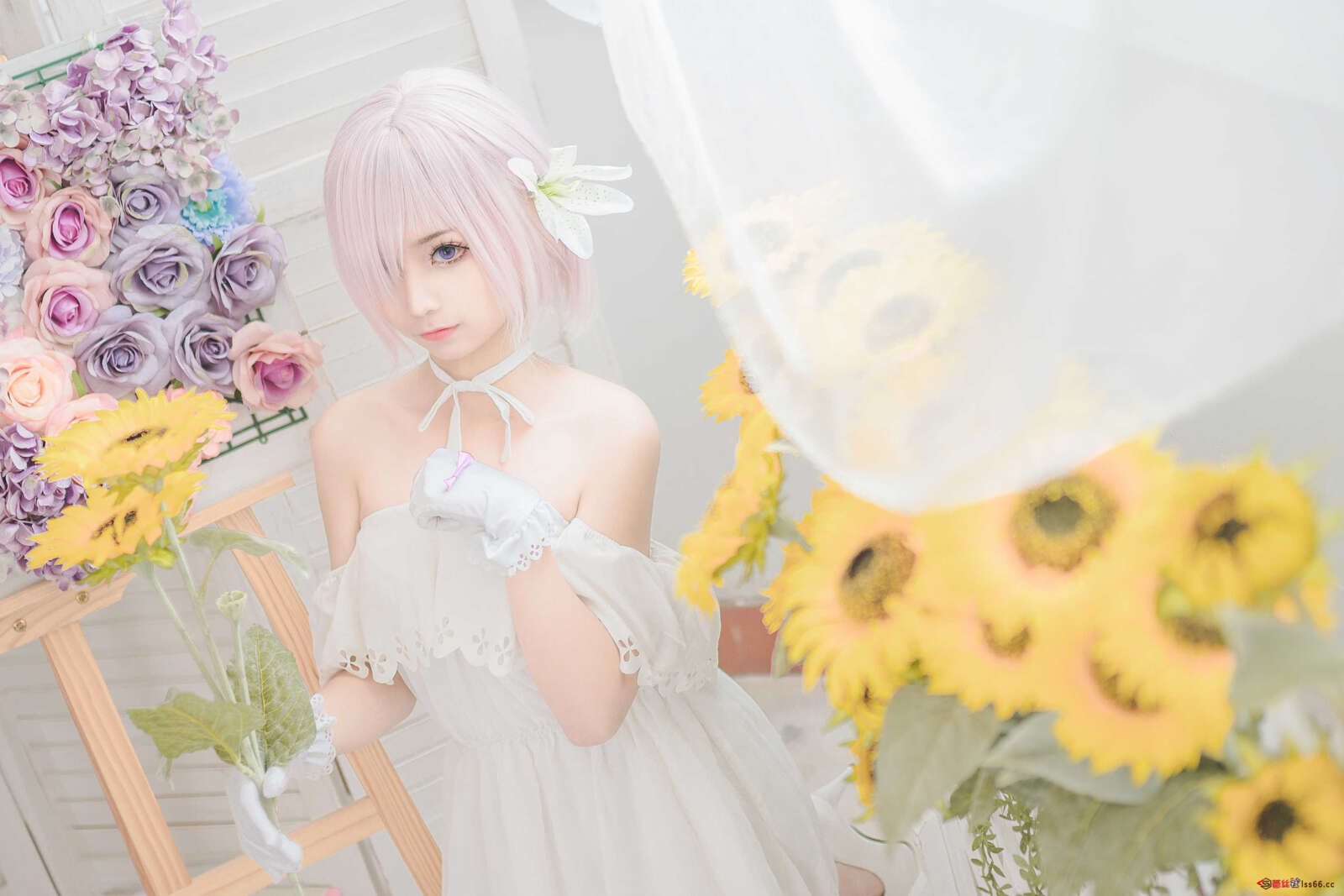 https://www.lss77.com/wp-content/uploads/2021/06/z-15-42-1600x1067.jpg