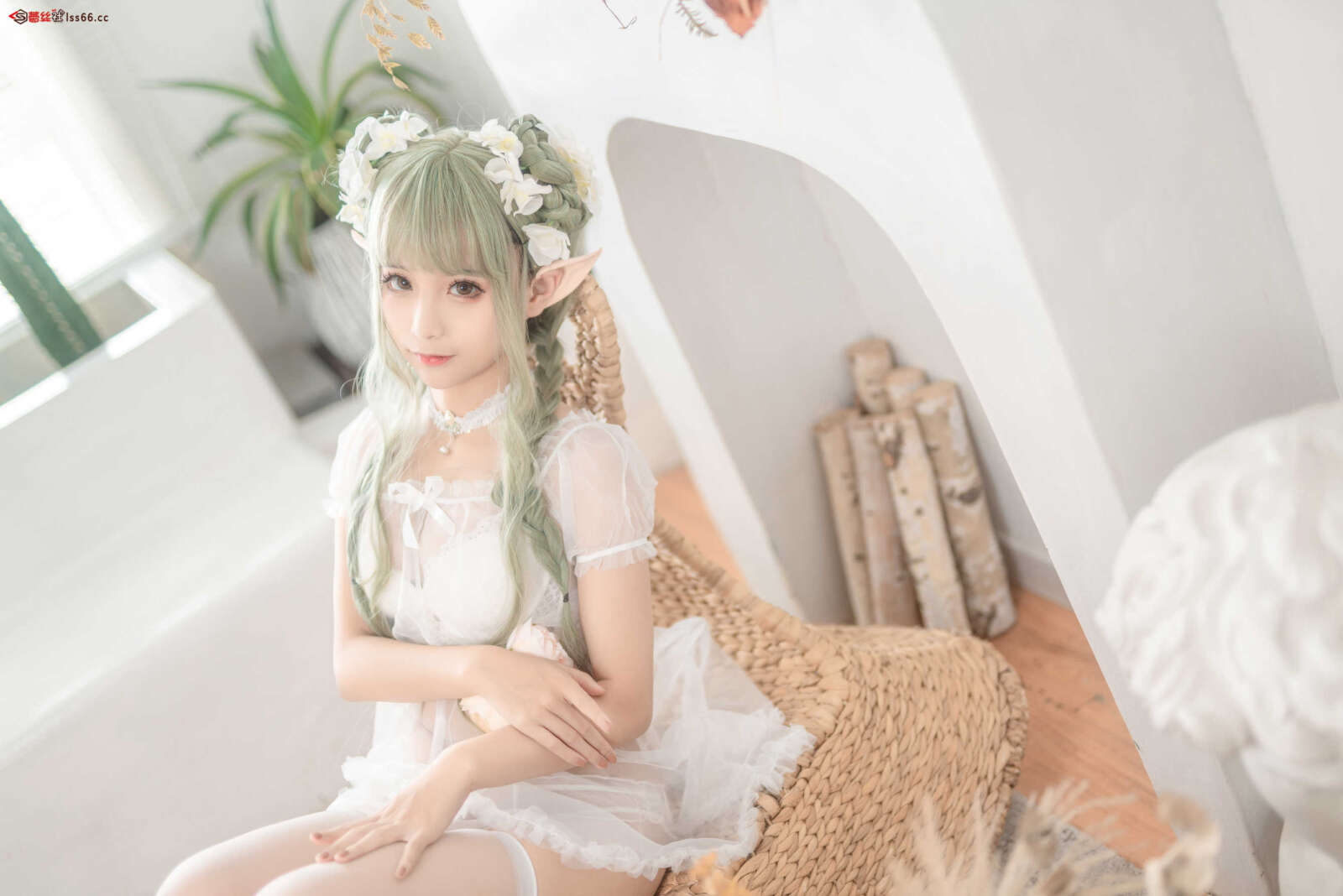 https://www.lss77.com/wp-content/uploads/2021/06/z-19-1-1600x1068.jpg