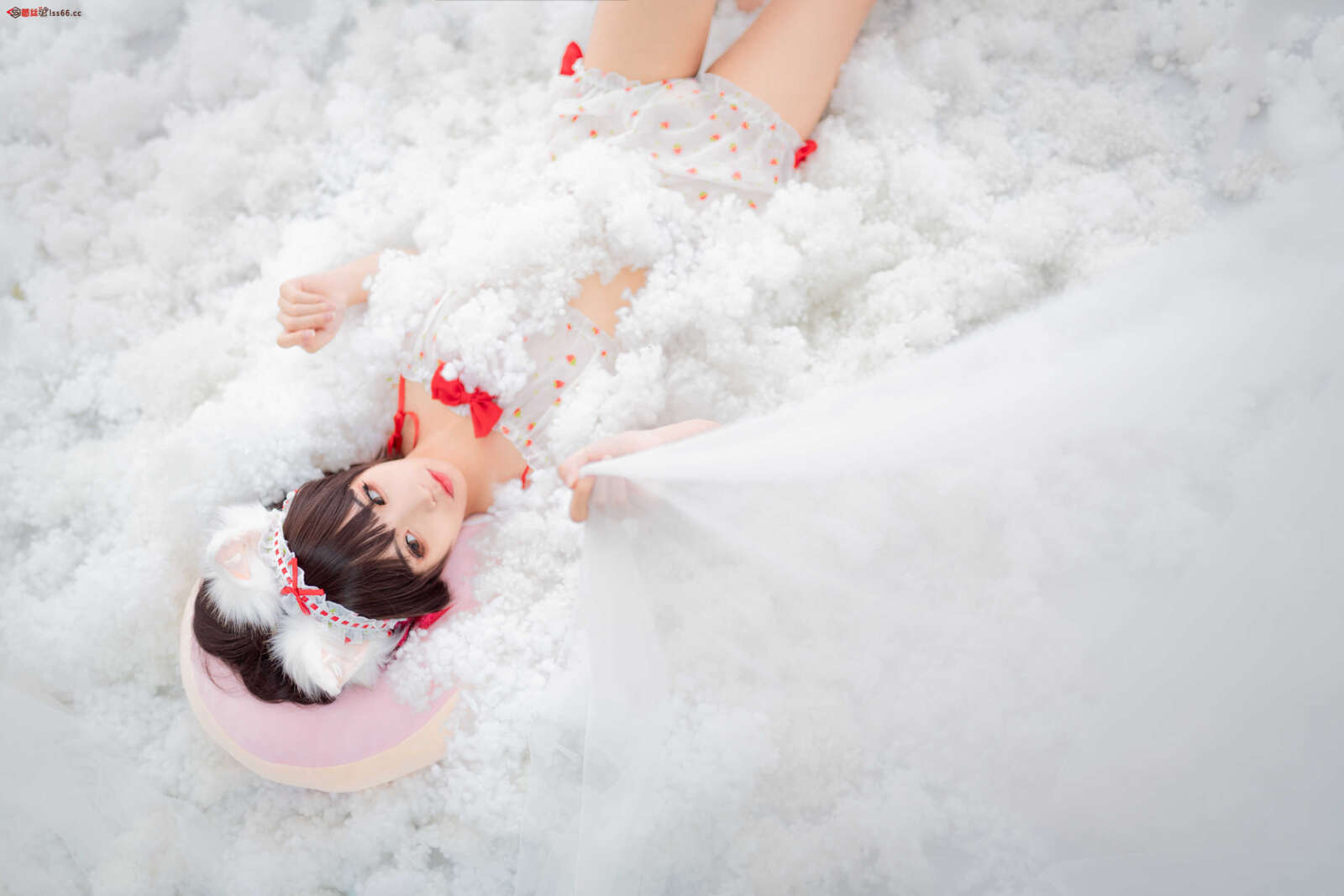 https://www.lss77.com/wp-content/uploads/2021/06/z-20-41-1600x1067.jpg