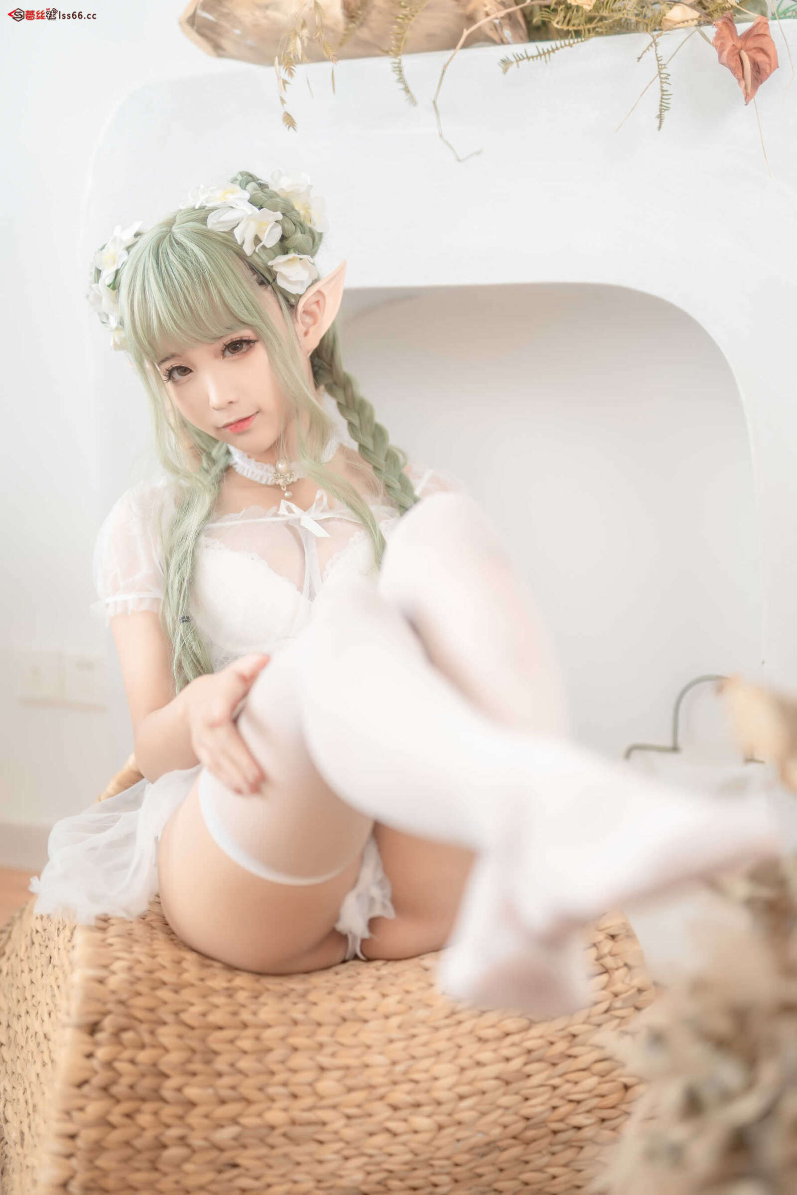 https://www.lss77.com/wp-content/uploads/2021/06/z-21-1-1600x2398.jpg