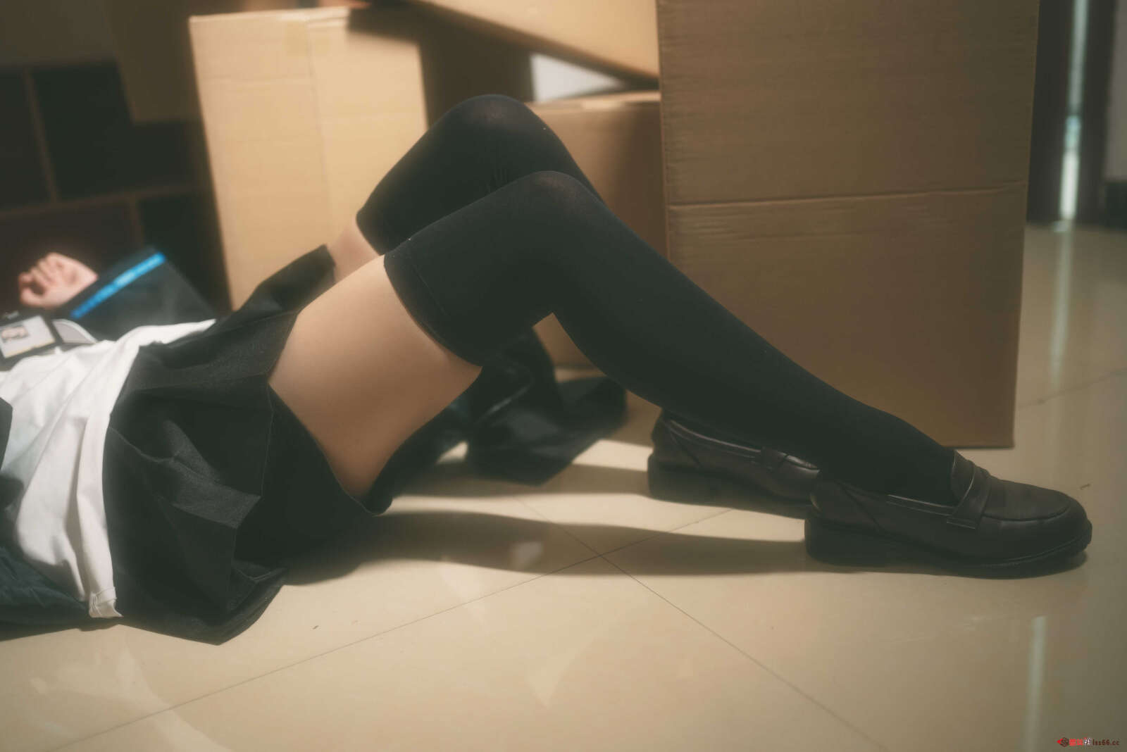 https://www.lss77.com/wp-content/uploads/2021/06/z-26-33-1600x1068.jpg