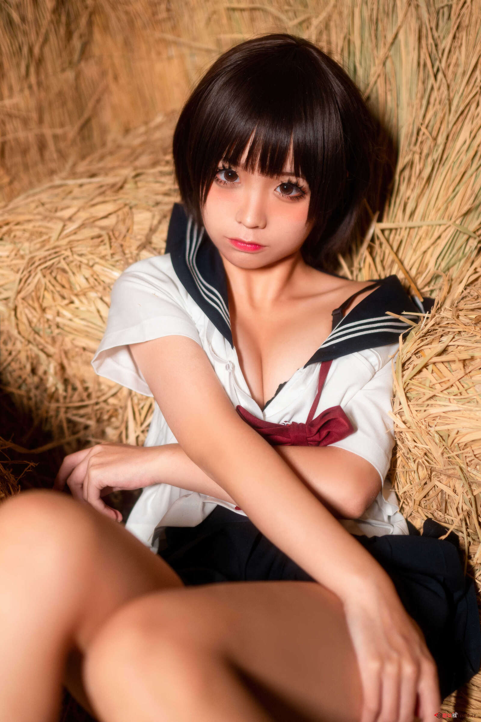 https://www.lss77.com/wp-content/uploads/2021/06/z-27-24-1600x2400.jpg