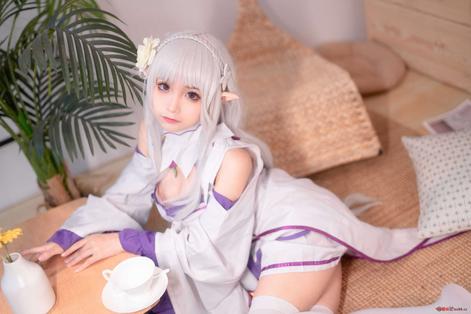 https://www.lss77.com/wp-content/uploads/2021/06/z-37-11-1600x1067.jpg