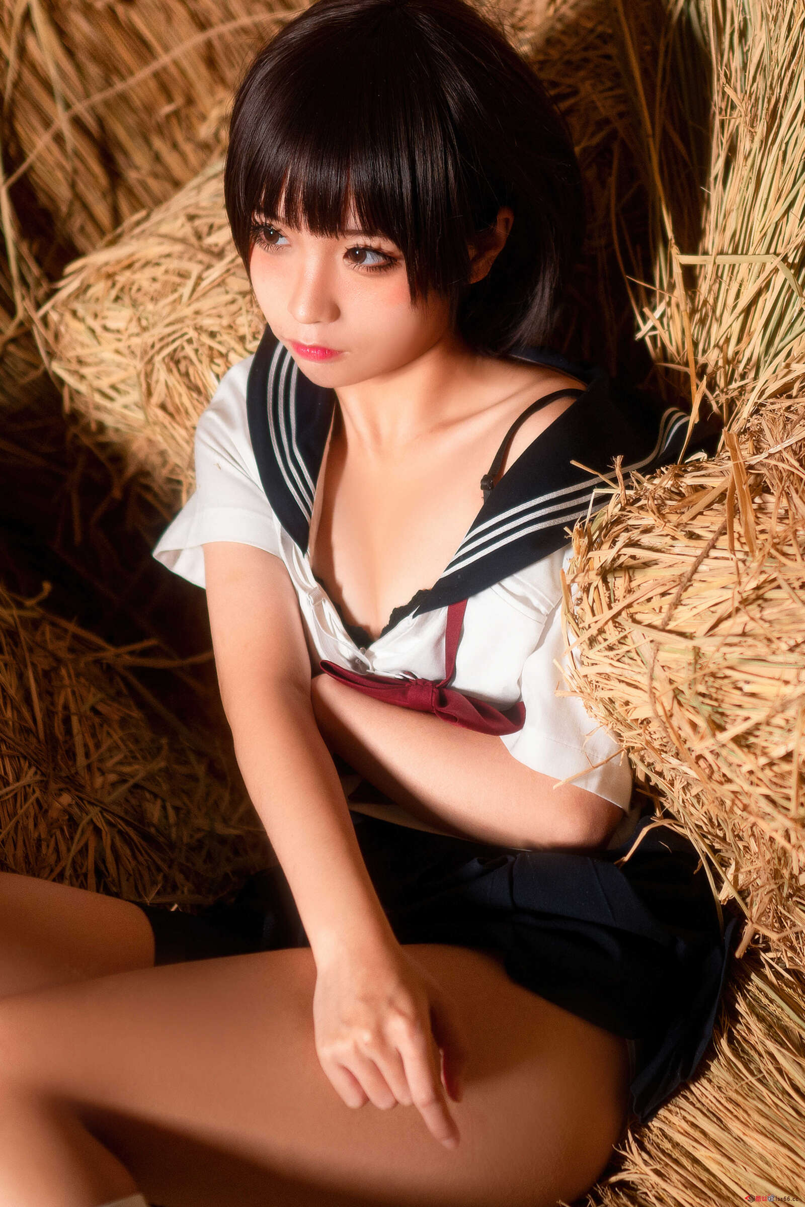 https://www.lss77.com/wp-content/uploads/2021/06/z-48-1-1600x2400.jpg