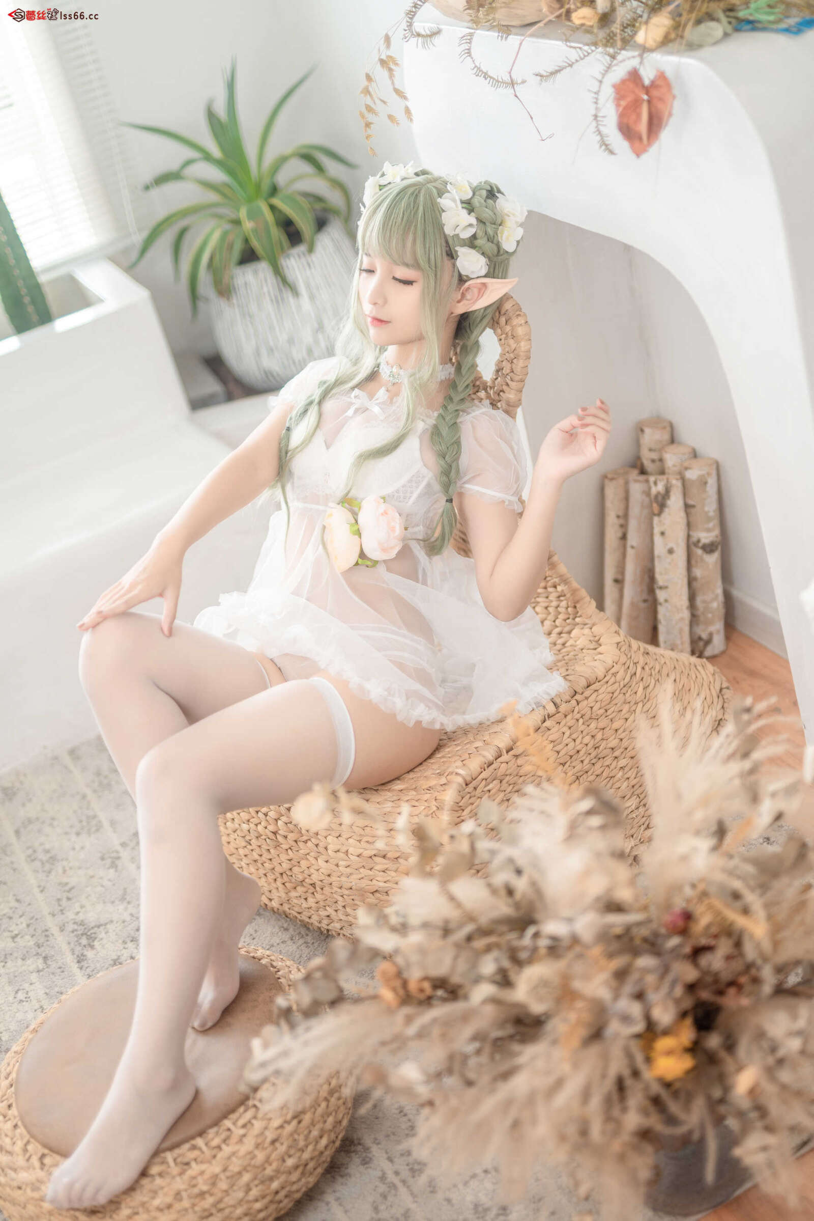 https://www.lss77.com/wp-content/uploads/2021/06/z-5-1-1600x2398.jpg