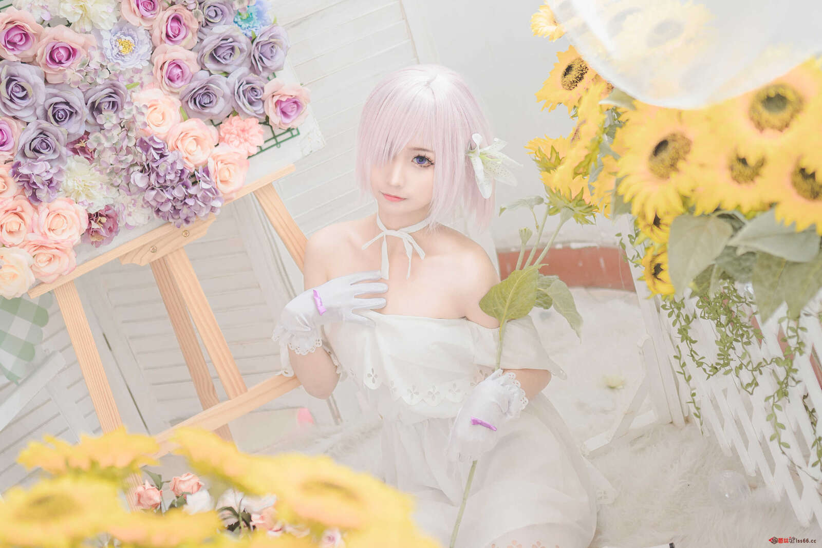 https://www.lss77.com/wp-content/uploads/2021/06/z-8-43-1600x1067.jpg