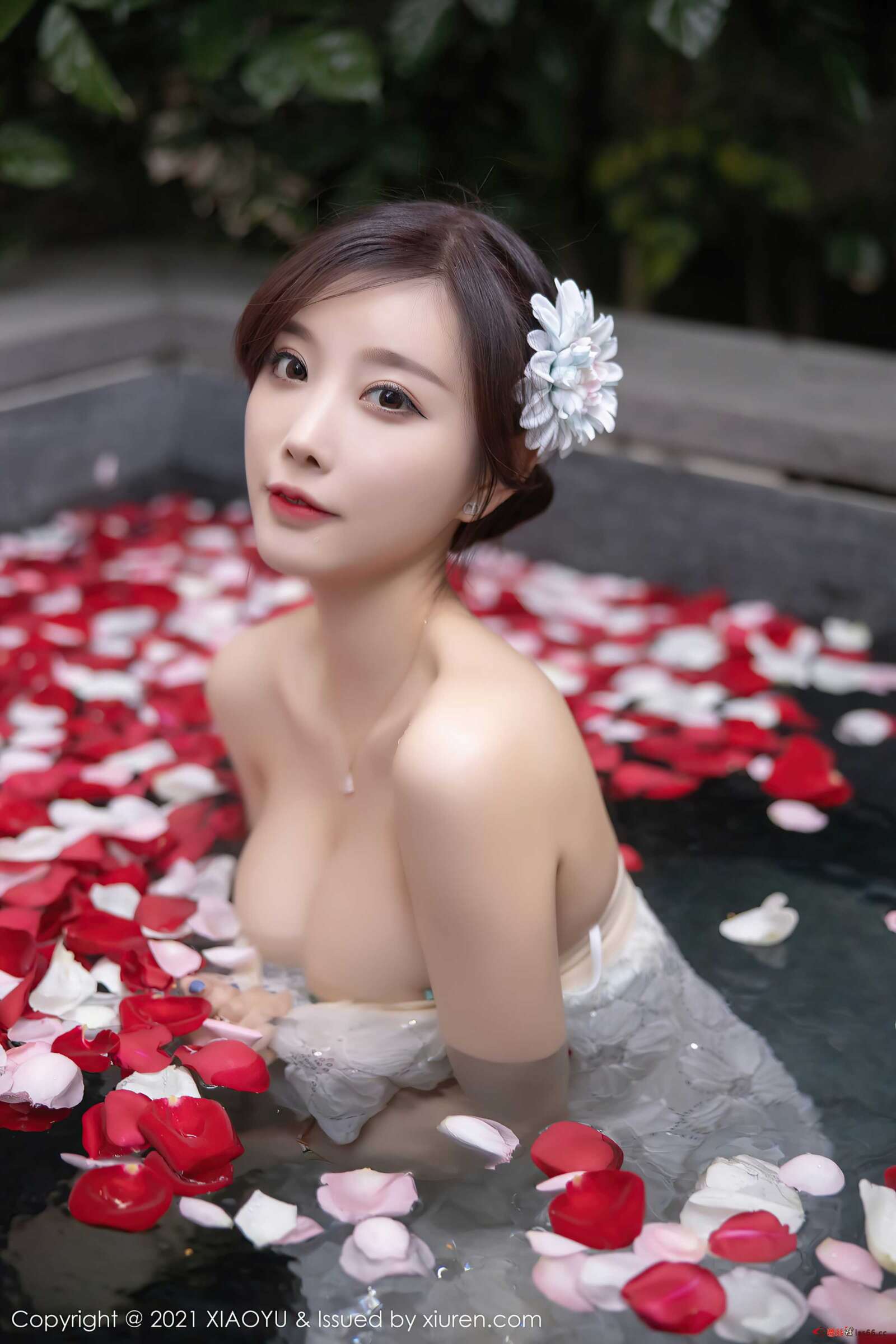 https://www.lss77.com/wp-content/uploads/2021/07/0019-74-1600x2400.jpg