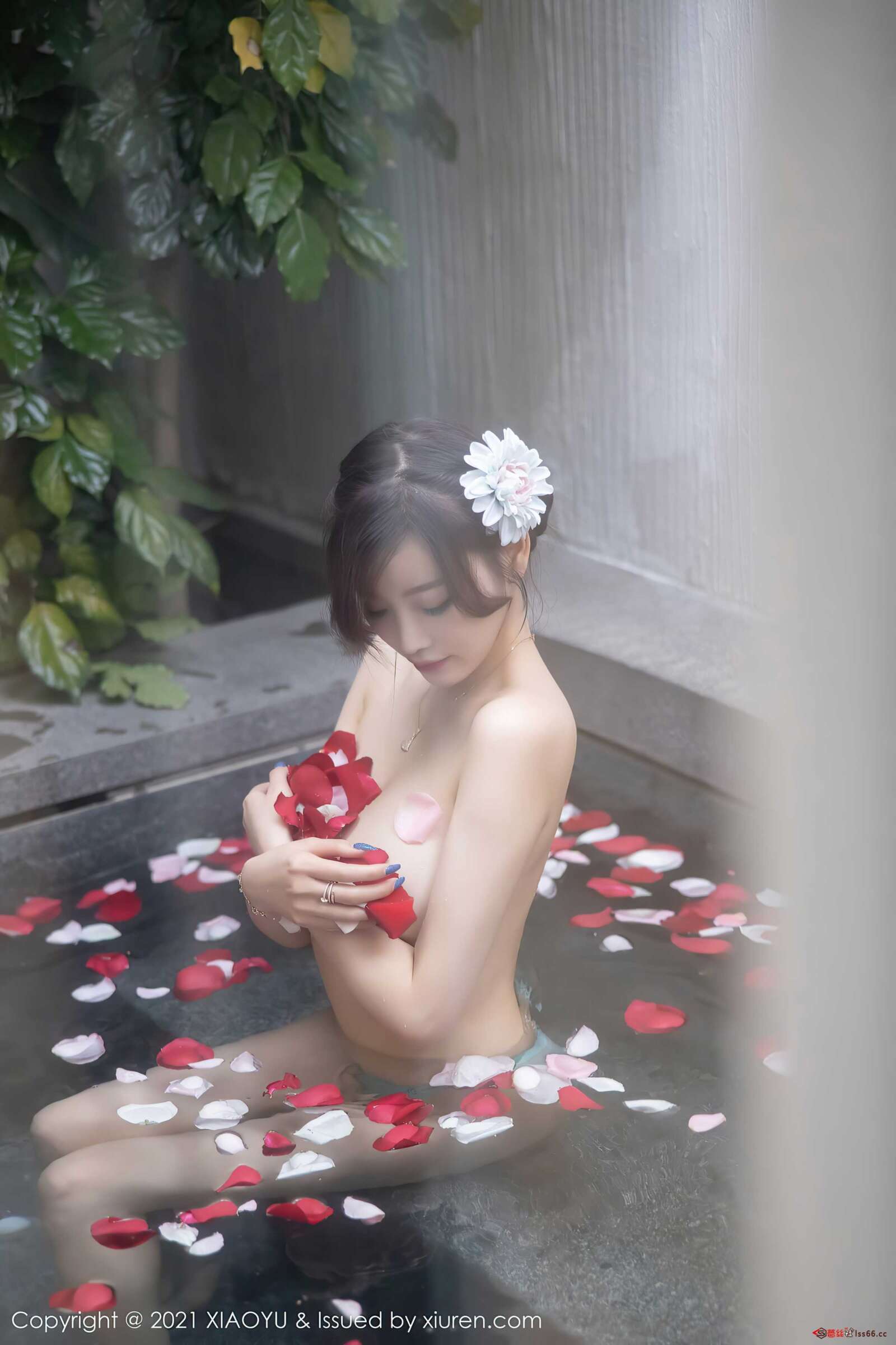 https://www.lss77.com/wp-content/uploads/2021/07/0042-71-1600x2400.jpg