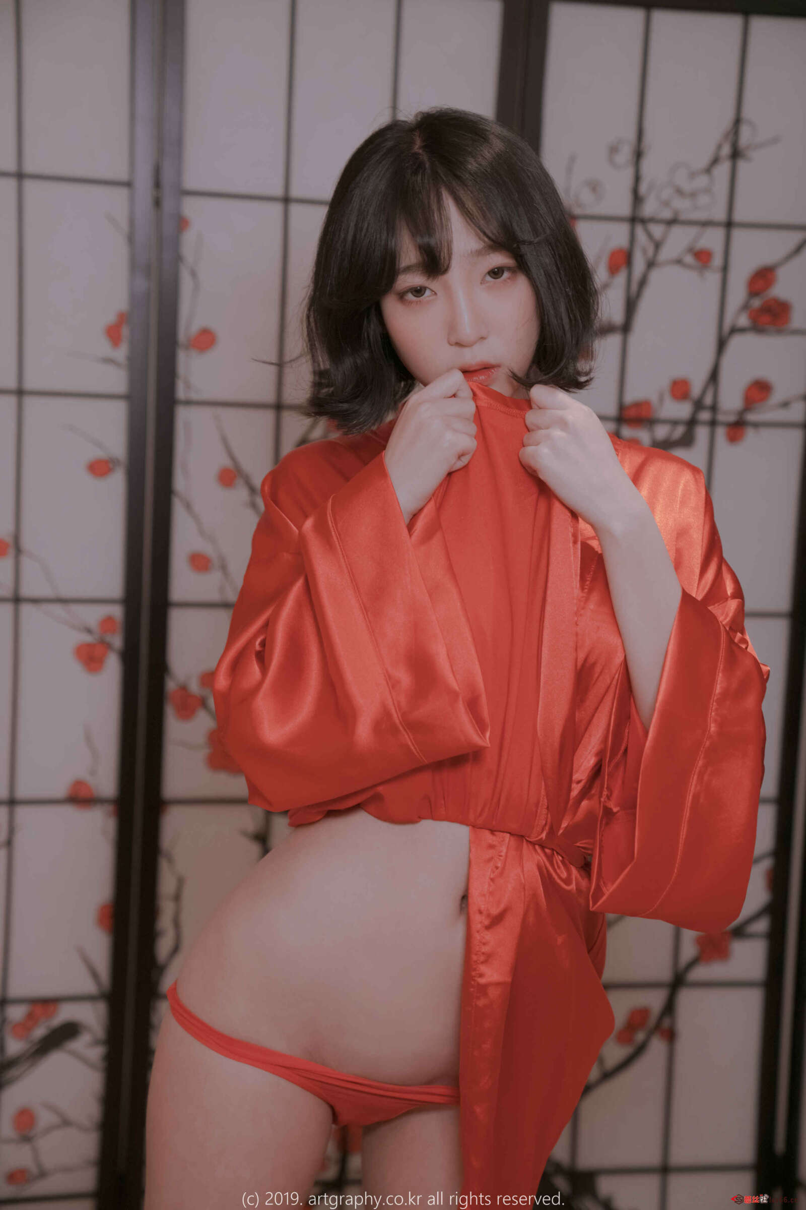 https://www.lss77.com/wp-content/uploads/2021/07/20190310-DSC01563-1600x2400.jpg