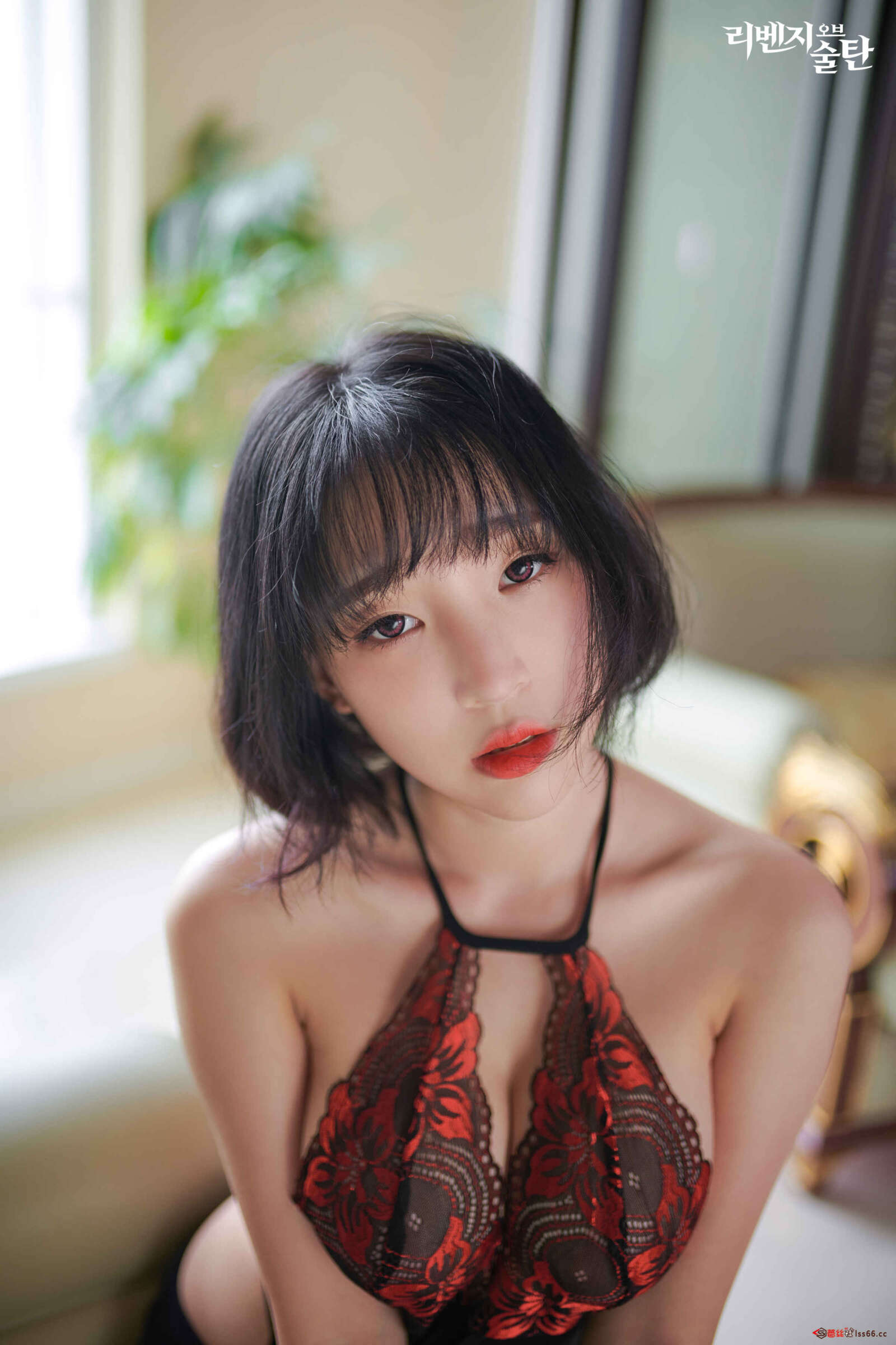https://www.lss77.com/wp-content/uploads/2021/07/lss-29-12-1600x2400.jpg